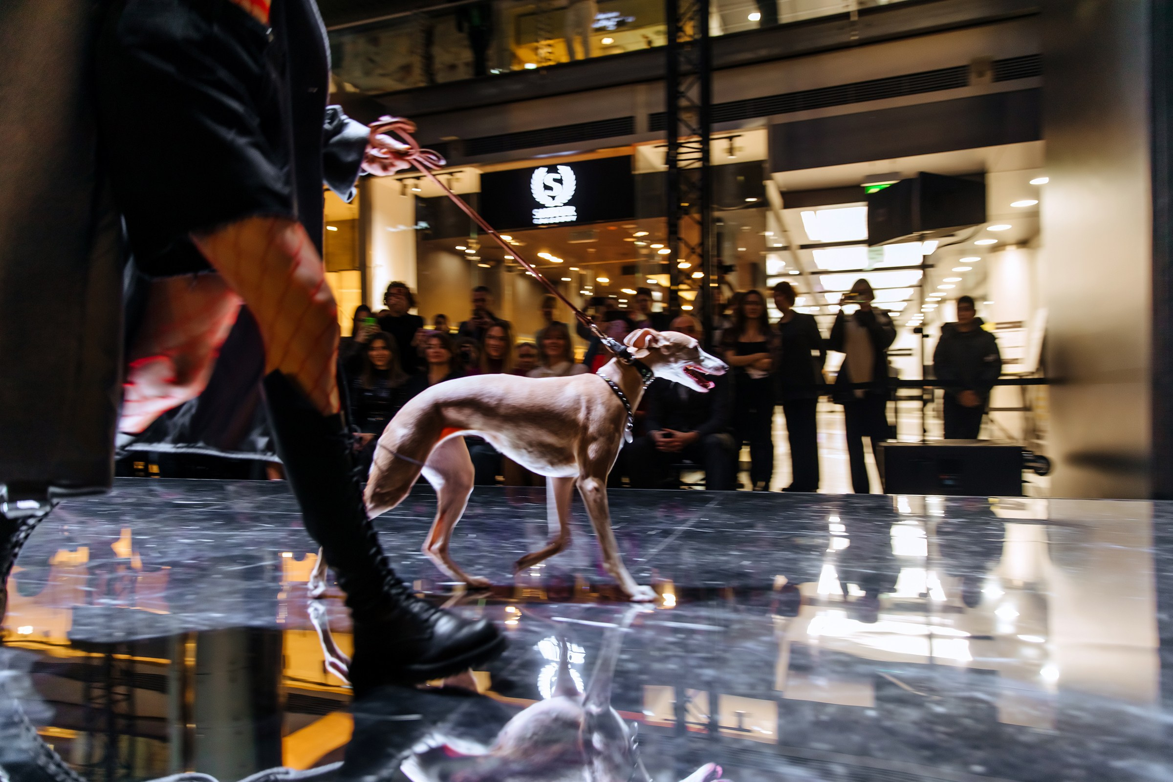 SFW. Любовь Чуляева — свадебный фотограф в Москве и Европе