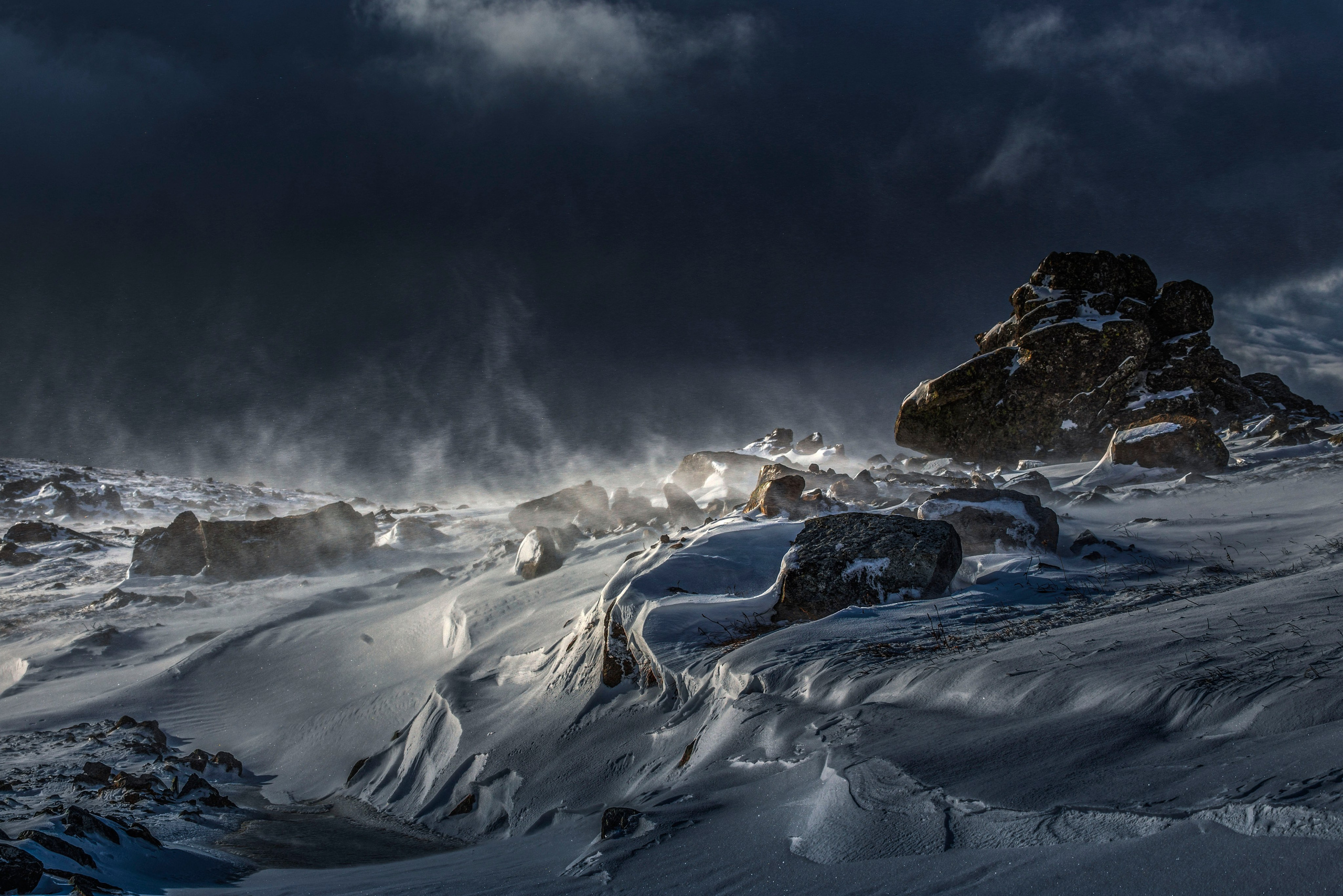 Портфолио. Фотограф Татьяна Борисова