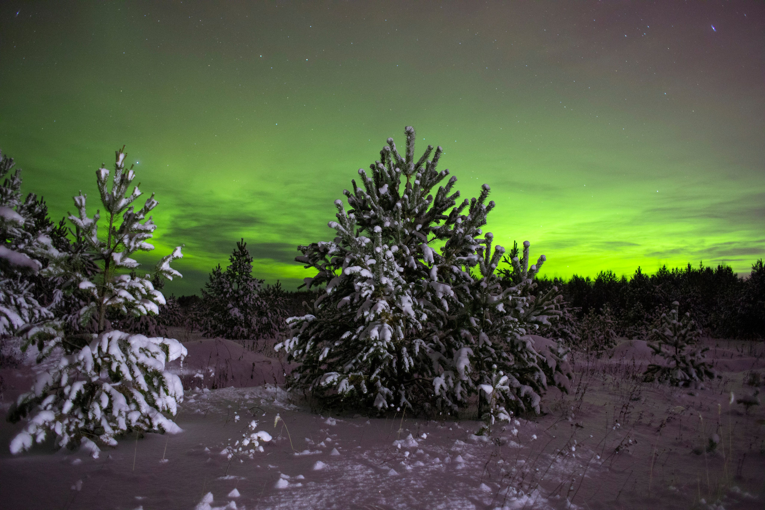 Северное сияние. Фотограф Татьяна Борисова