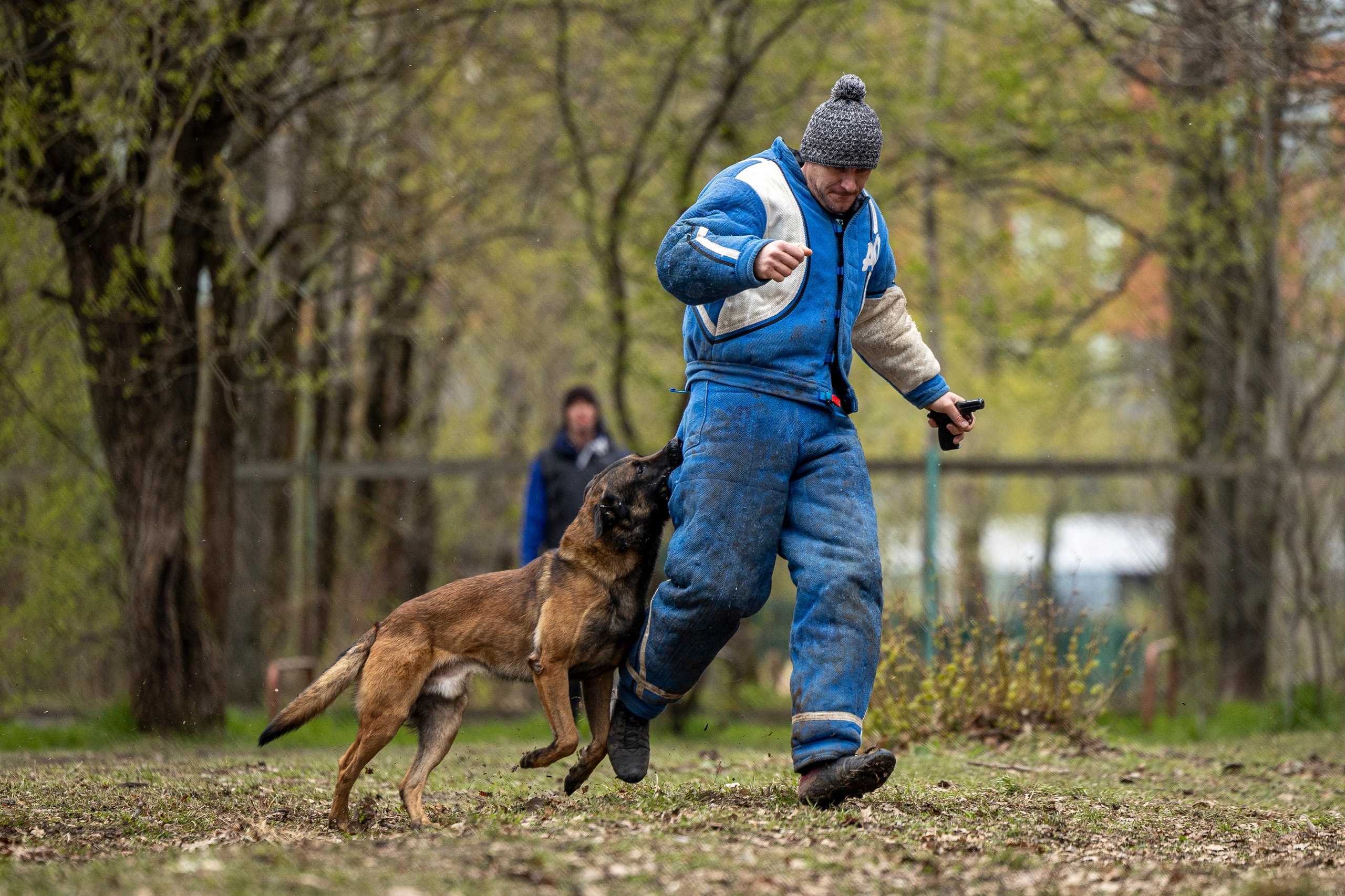 Квалификационные состязания по мондьорингу г. Вологда 11.05.24. Фотограф-анималист Анна Маринич