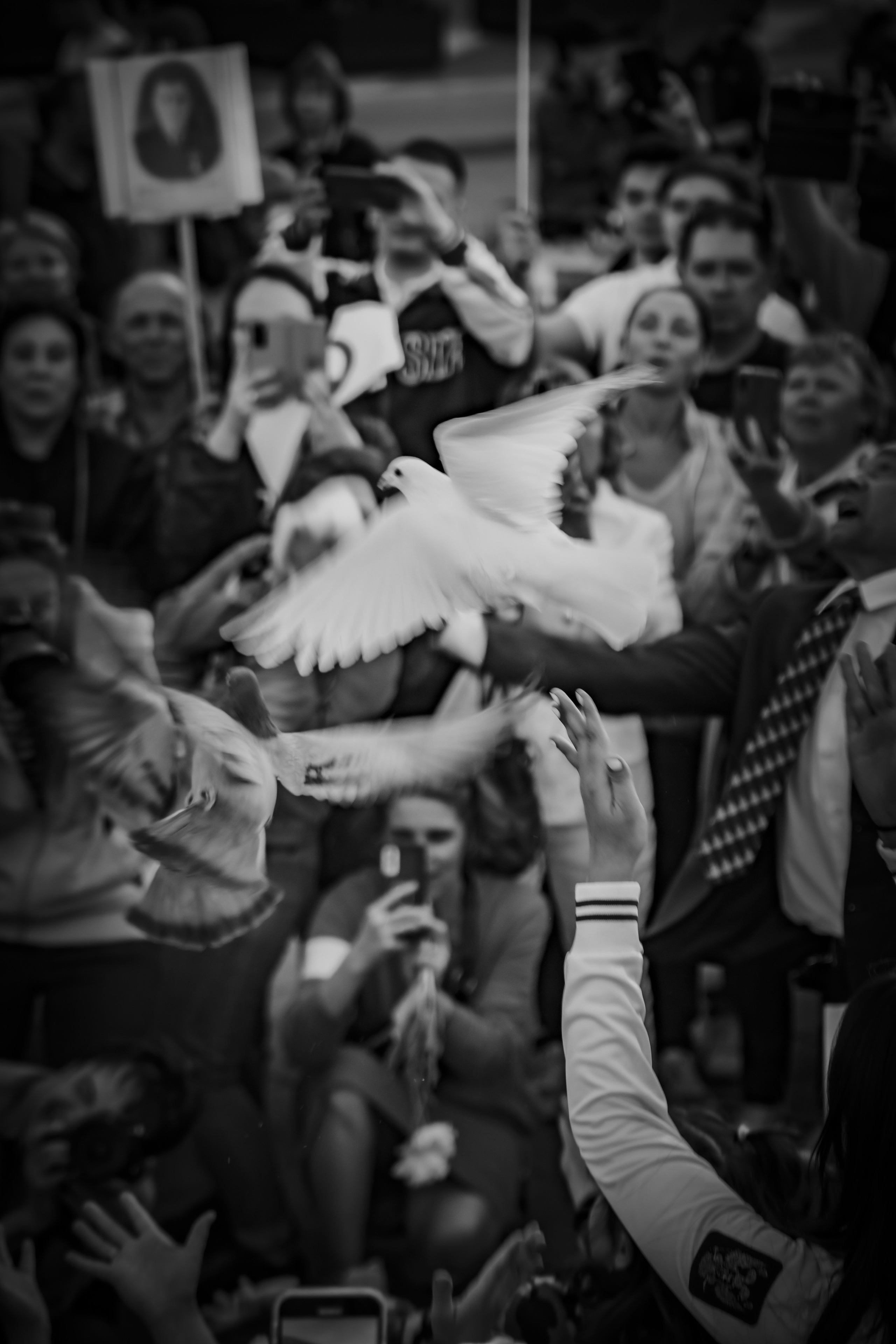 STREET. NE Cinema — backstage and reportage photography in cinema, music, Automotive and sport