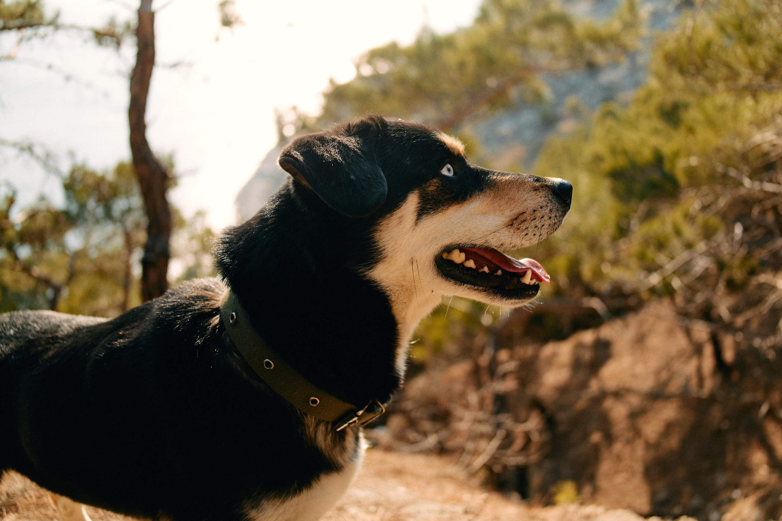 Юг России. Профессиональный Фотограф во Владимире, в Москве и в Суздале — Полина Романычева