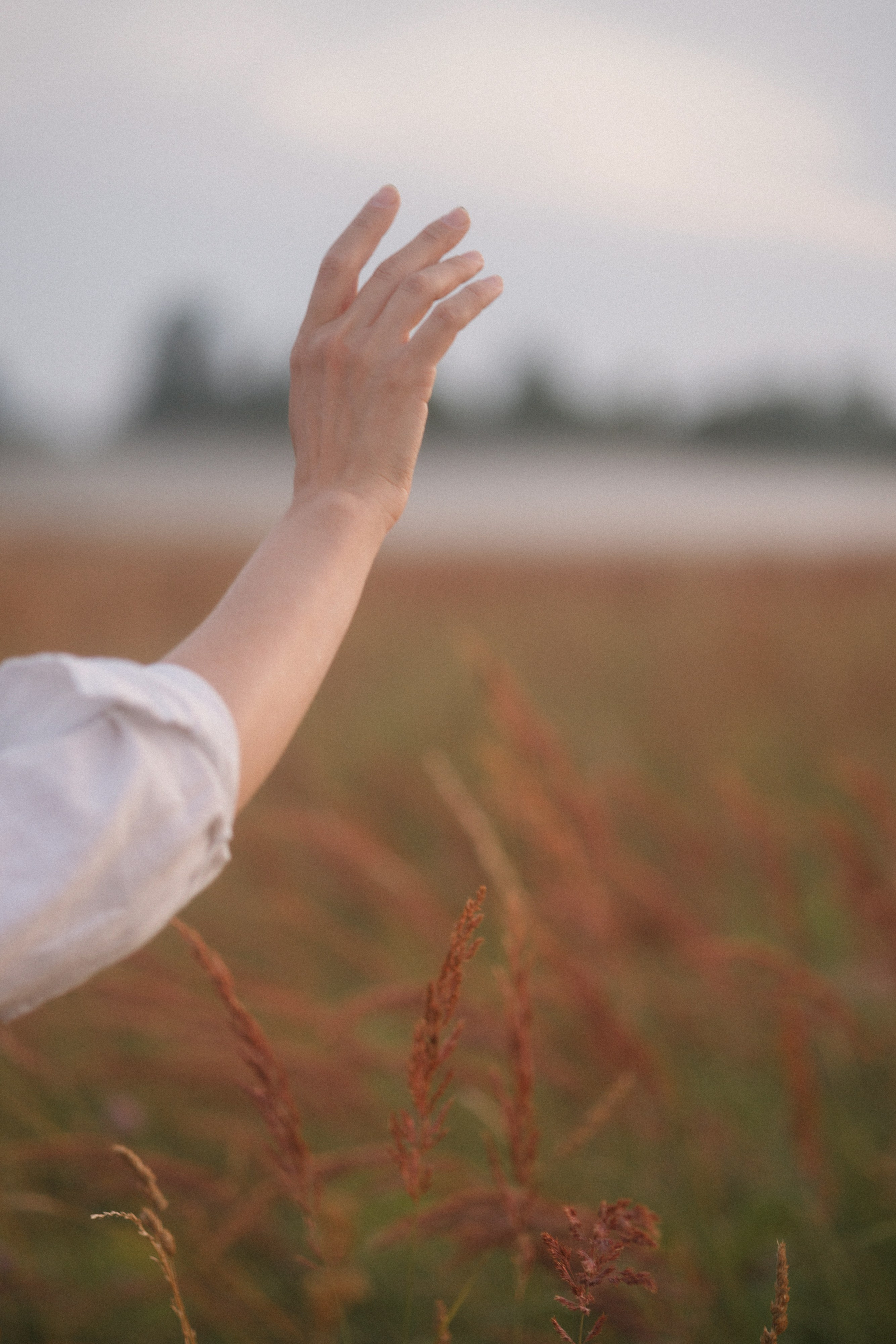 Наташа. Каплицкая Любовь — фотограф Тверь