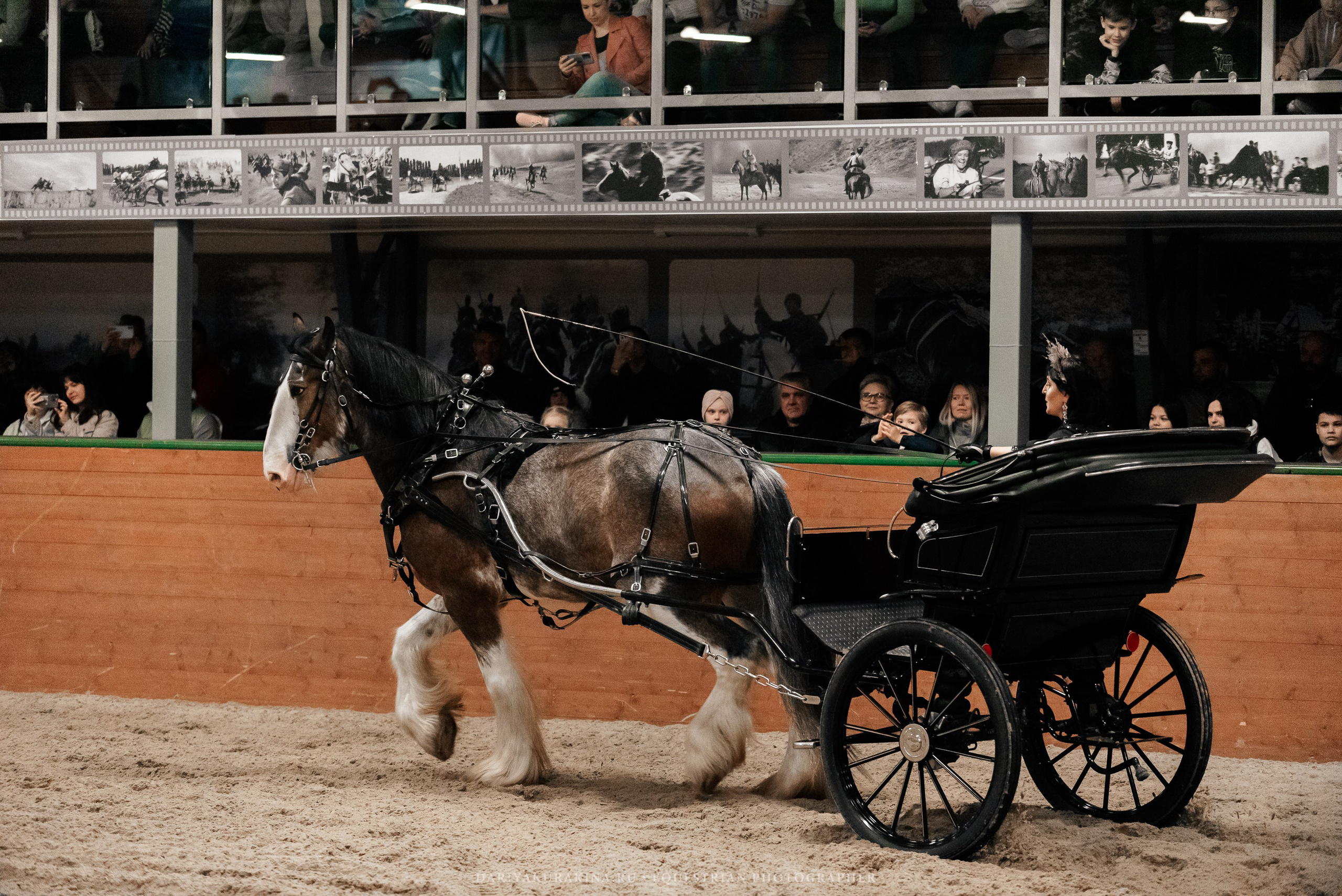 Конное представление «Дыхание Звёзд». Конный фотограф Куракина Дарья • Фотосессии с лошадьми