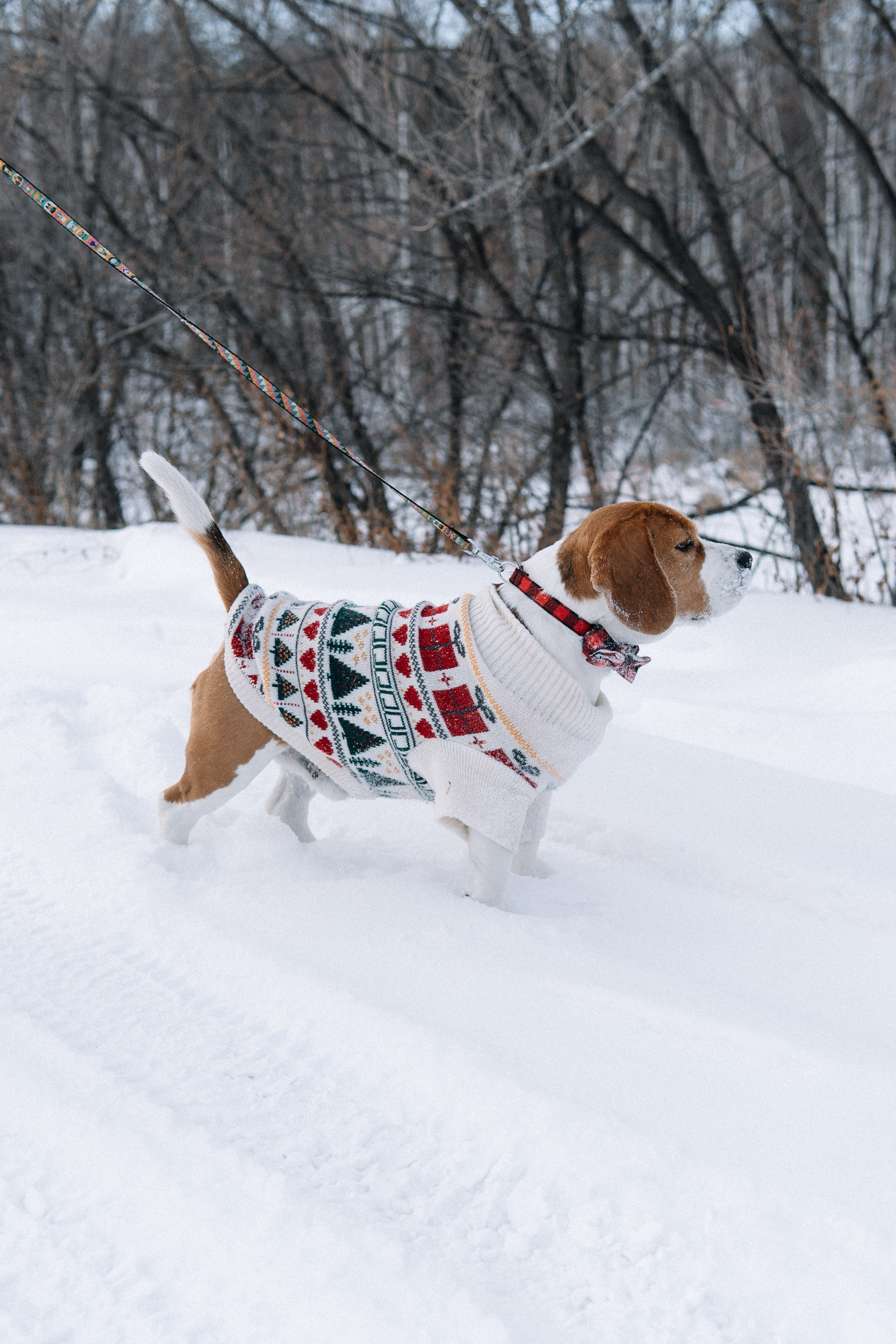 Семейная. Lifestyle и контент фотограф в Благовещенске Пьянникова Анна