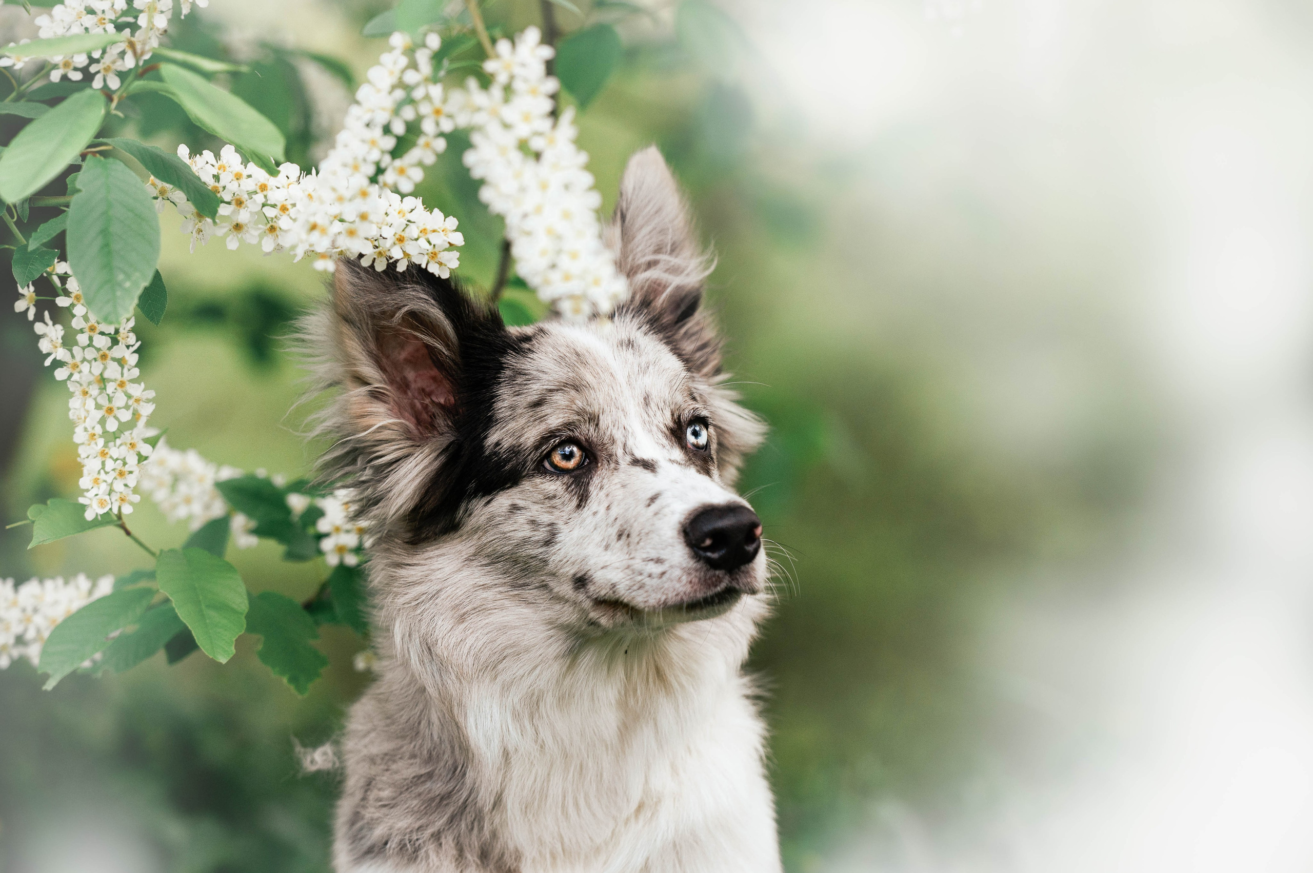 Весна на ВДНХ. Фотограф-анималист