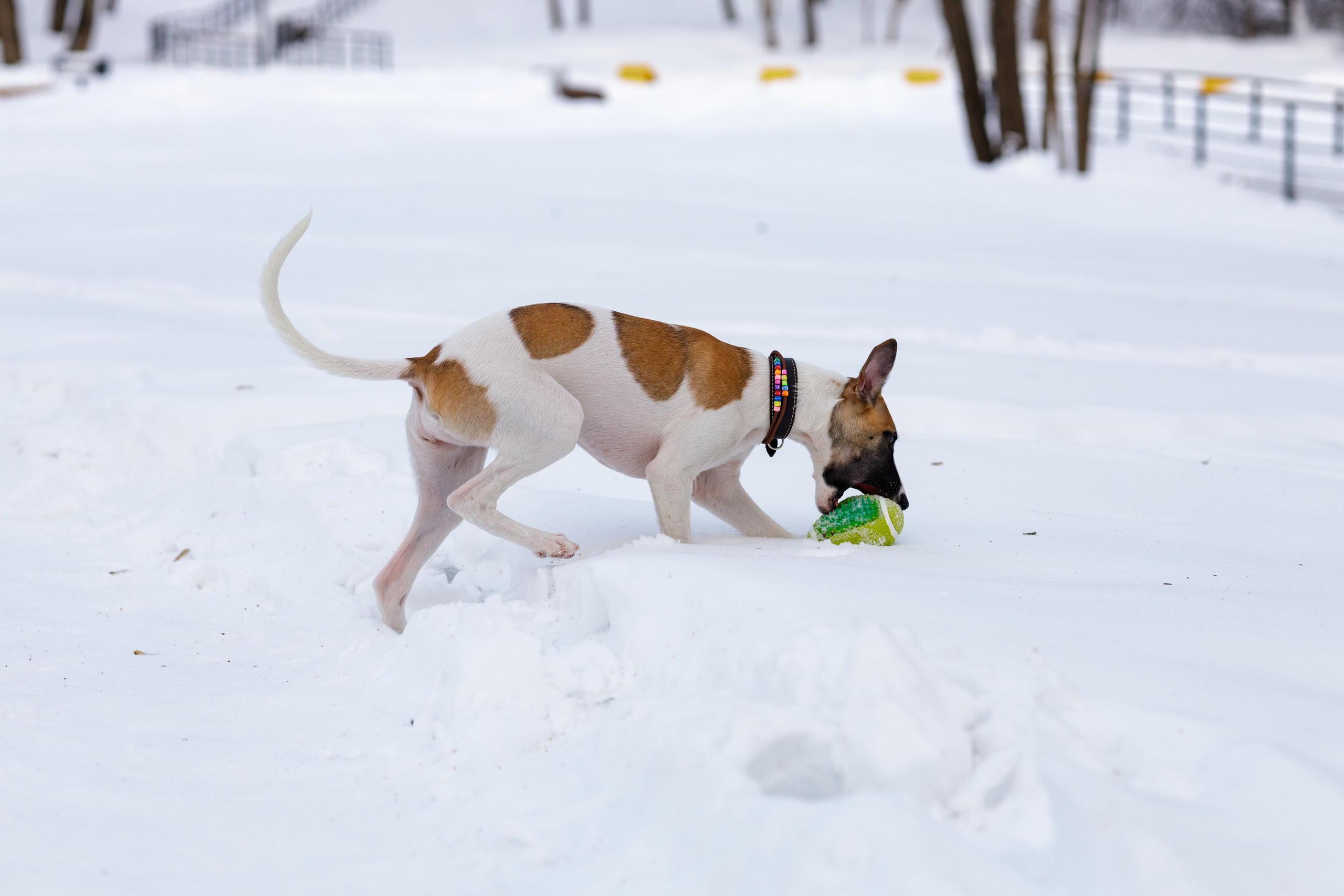 Ланди. Анна Самохина. Фотограф. Москва