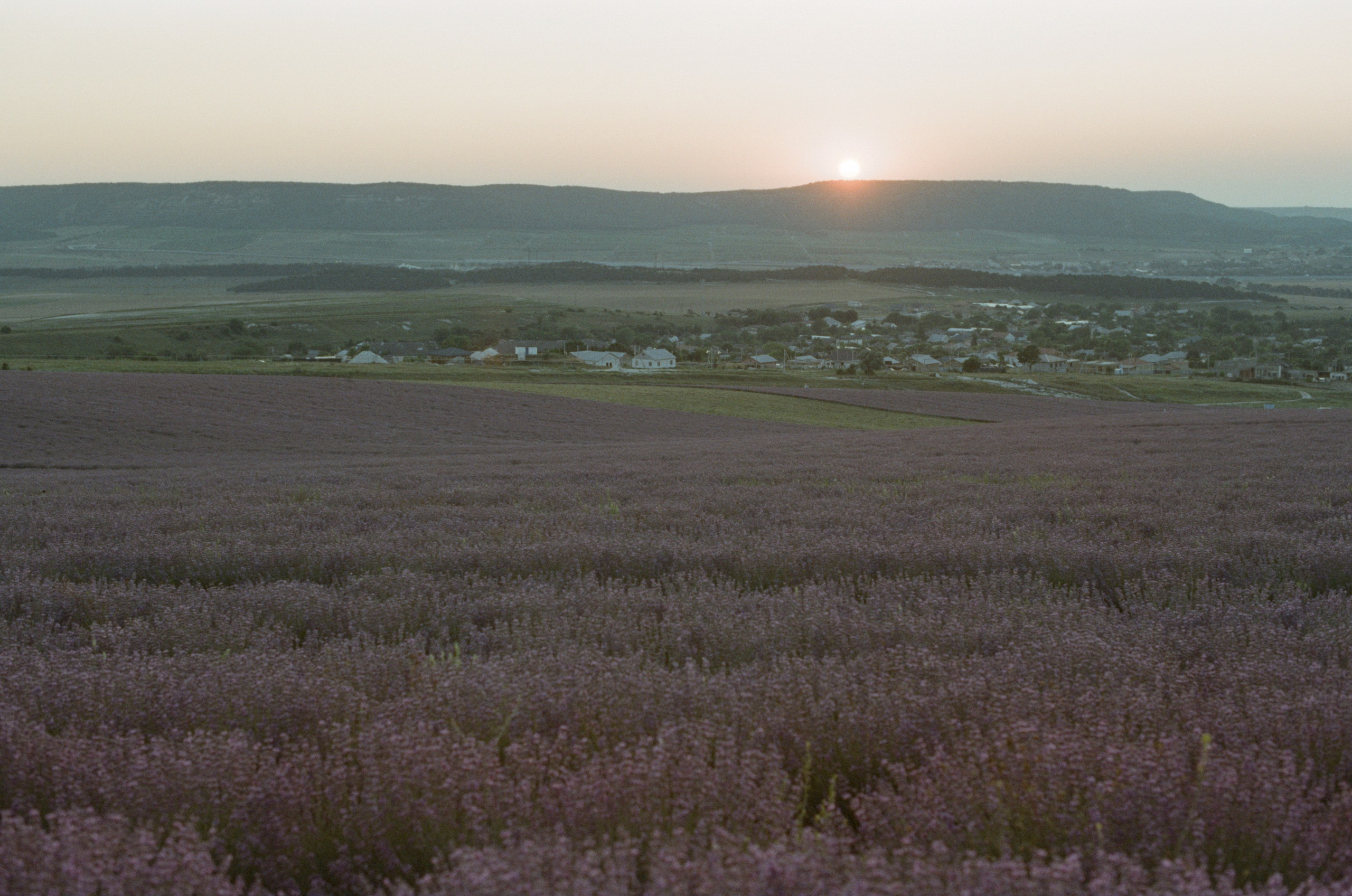 Silent running // ukraine, crimea V. EVER EXPOSED