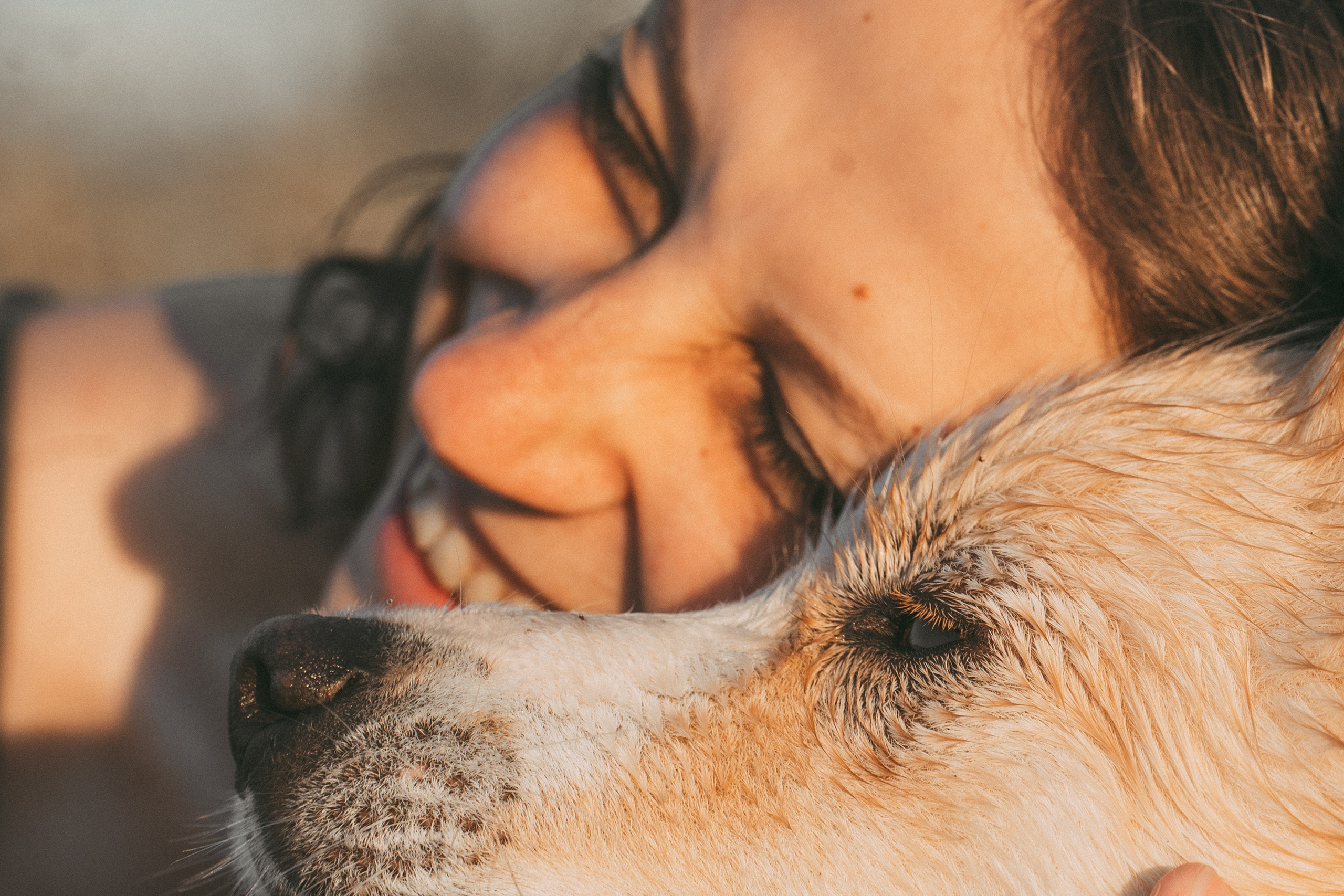 Рина и Марси. Фотограф анималист в Москве и Санкт-Петербурге Свиридова Анна
