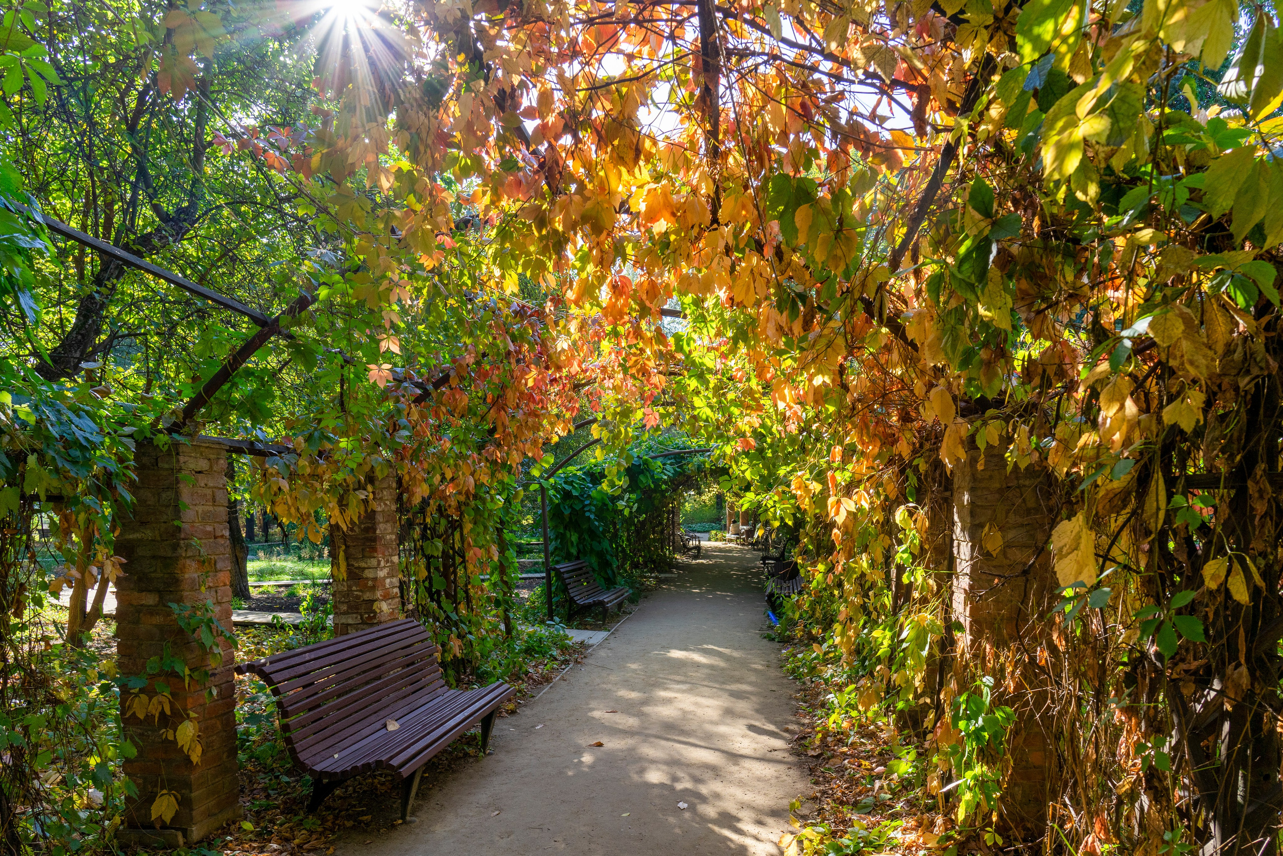 Блог. Авторские фотографии Чугунова Николая