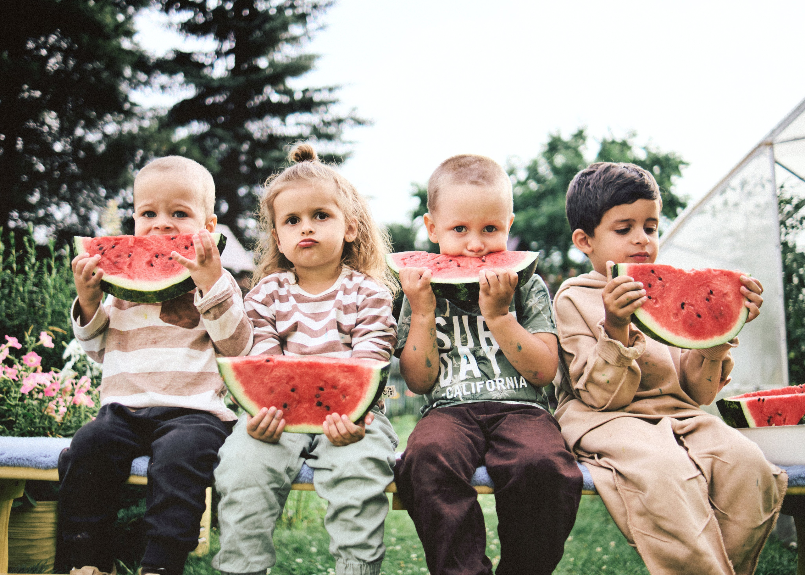 Банда. SHILOVA PHOTO. Шилова Екатерина. Фотограф. Москва