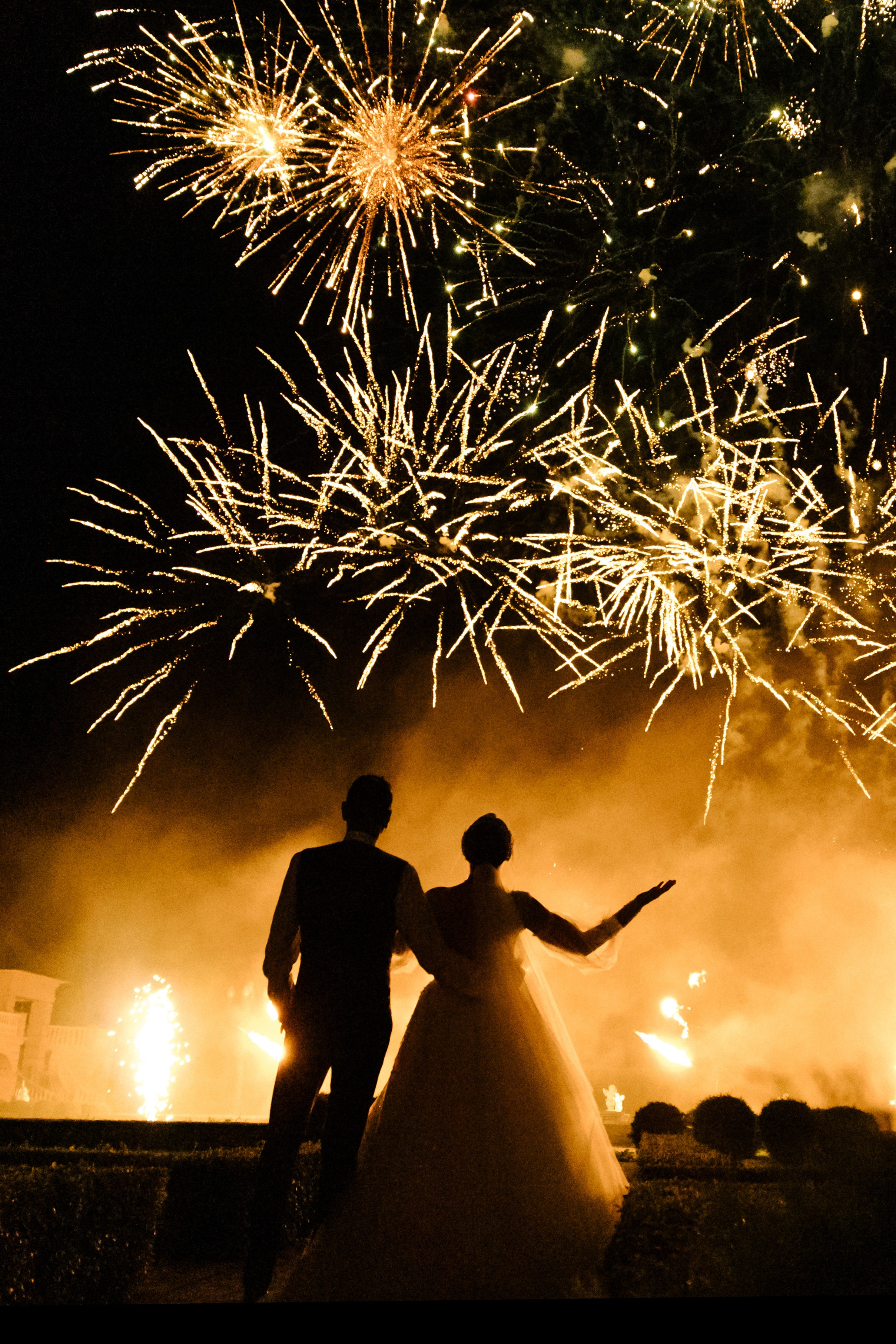 Рохит & Дарья. Организатор- Елена Гаманович. Главная