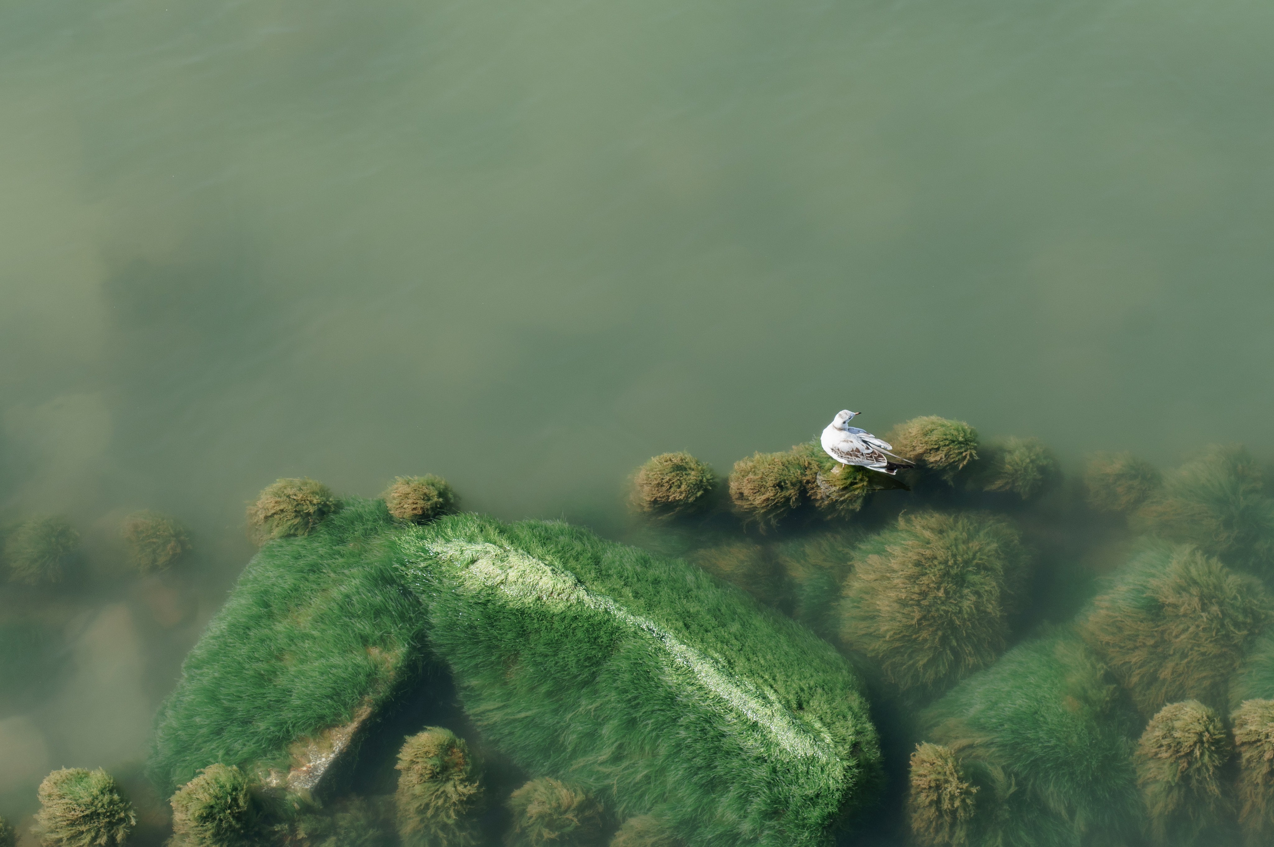 Калининград. Фотограф Шибков Константин