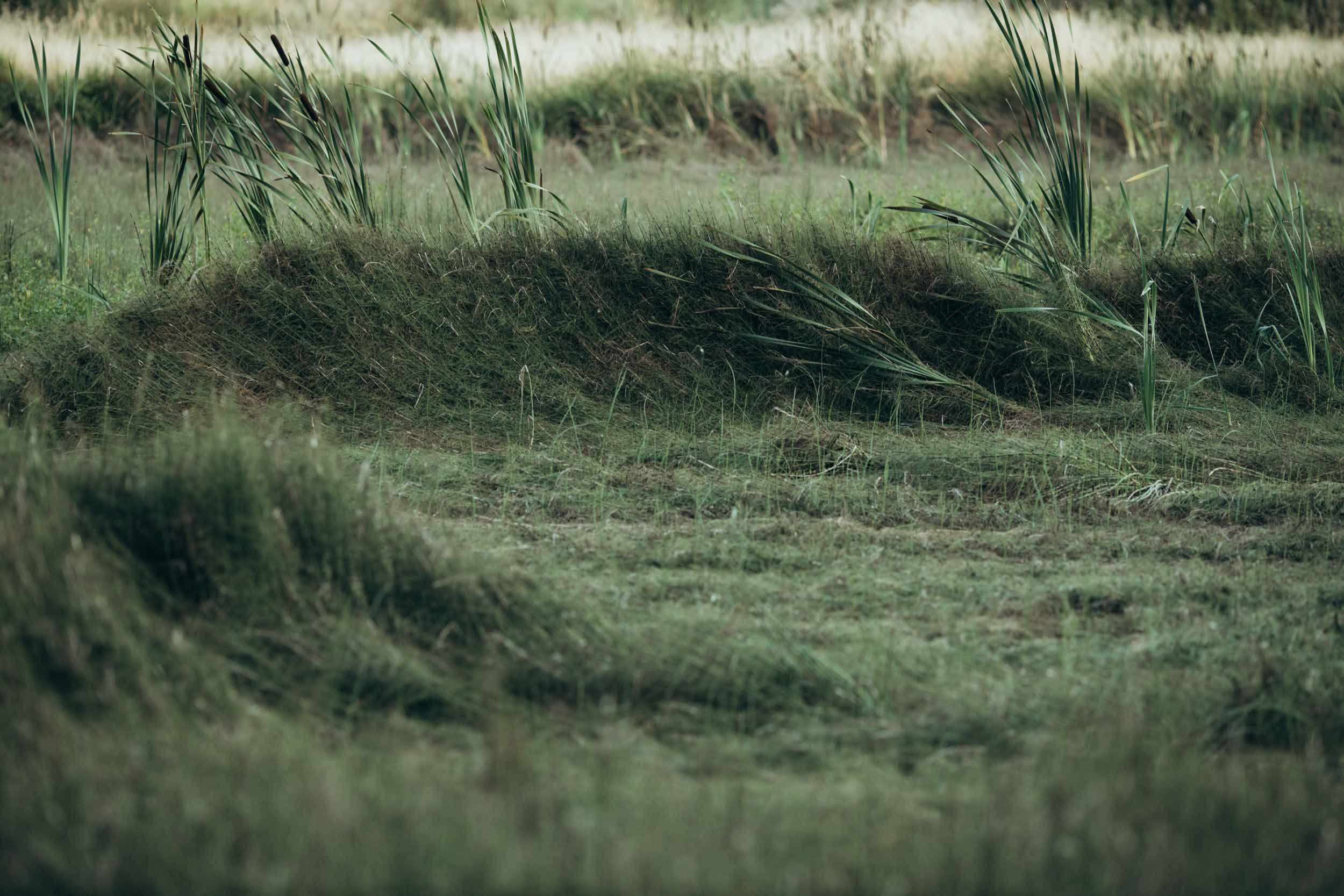 Природные пейзажи. Наталия Клевинскас портретный фотограф в Костроме