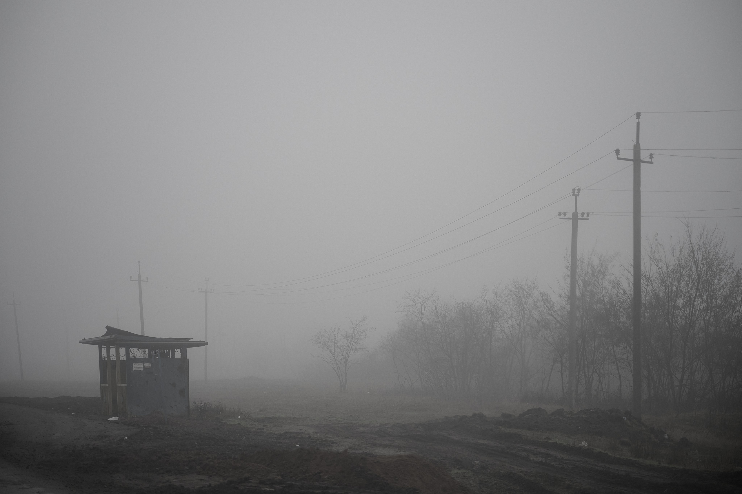 Дорога домой. Туман. Фотограф Роман Адлер
