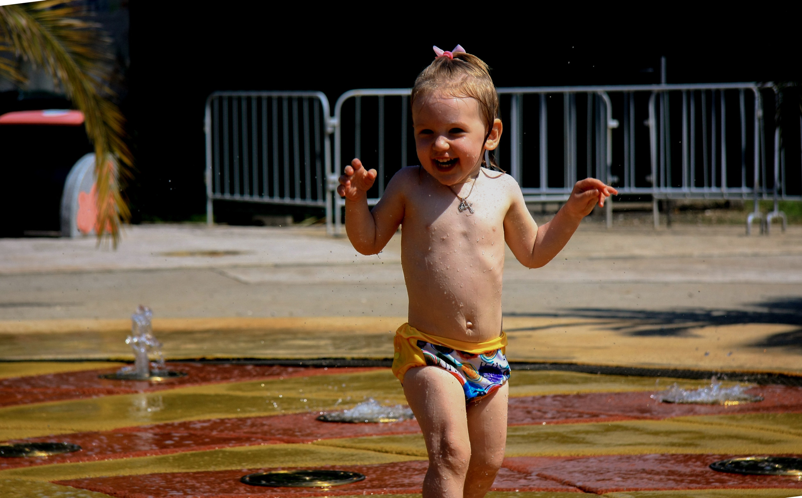 Первые кадры. Сочи — парк. Фотограф Роман Адлер