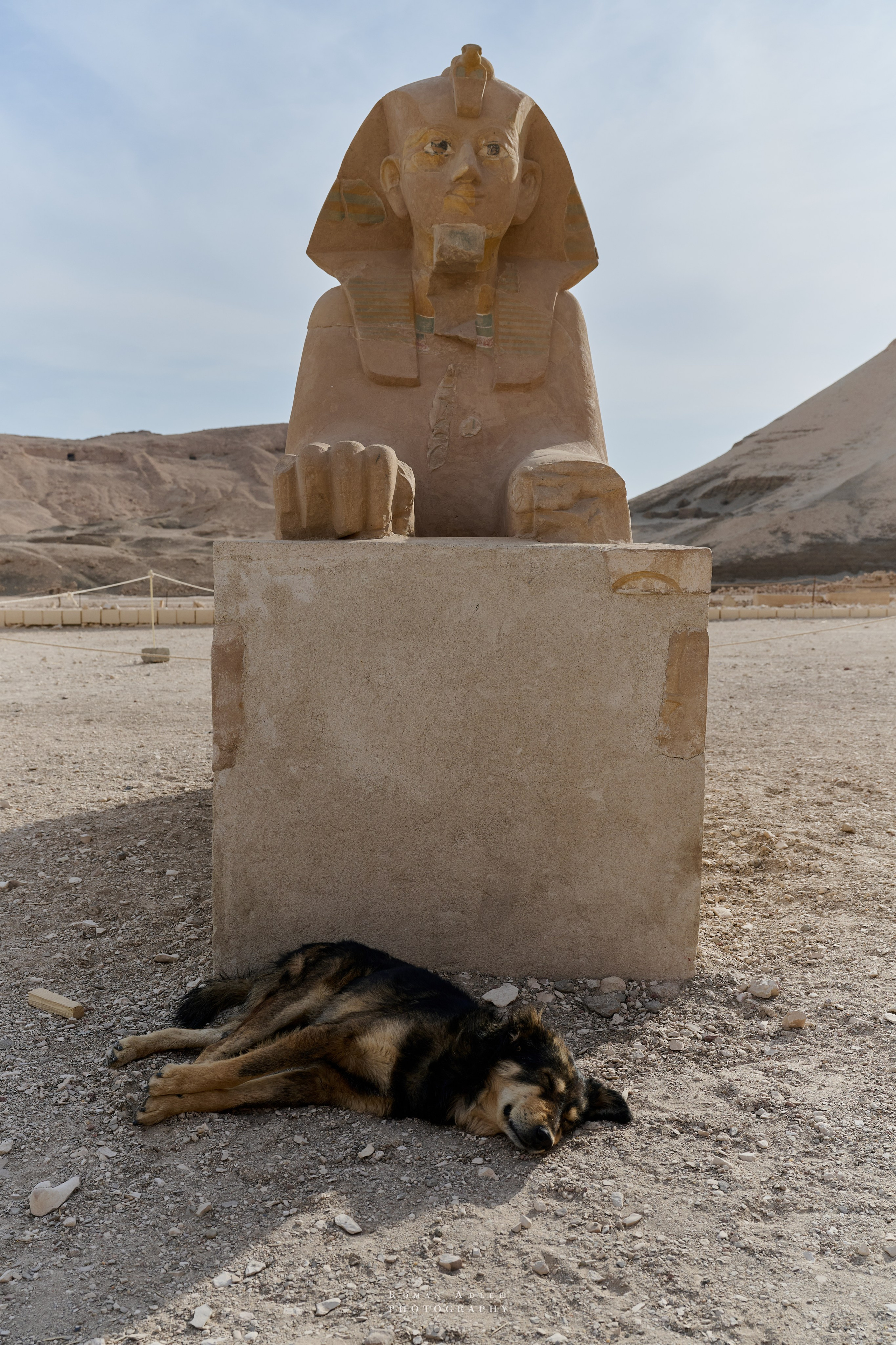 Луксор. Февраль 2025. Фотограф Роман Адлер