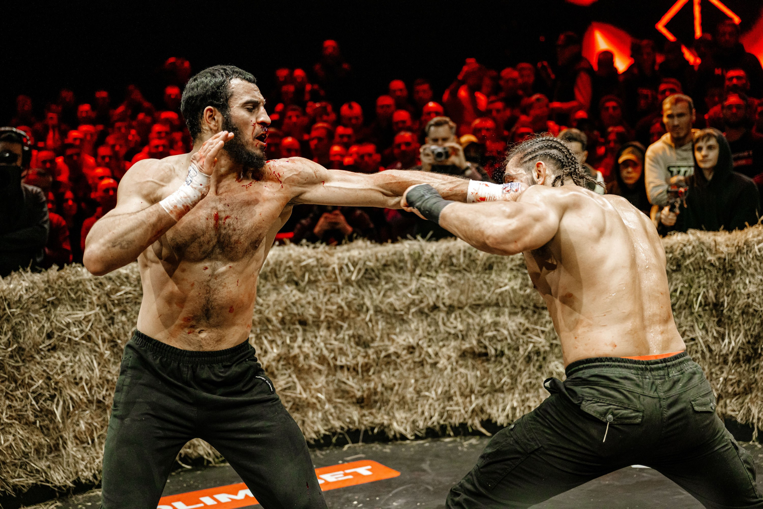 TOP DOG. Максим Комаров — Профессиональный фотограф