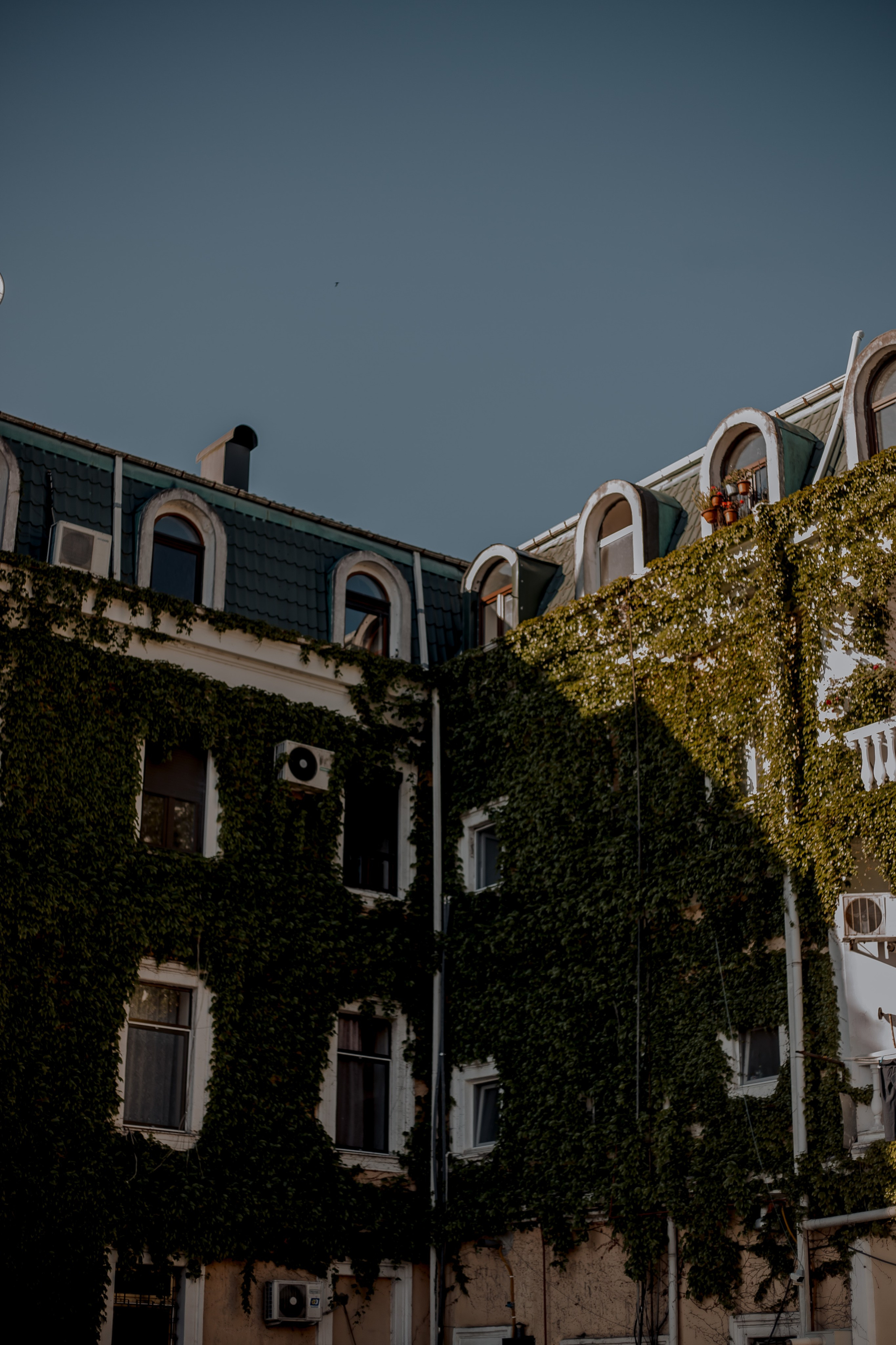 Georgia, Batumi. Art Photographer