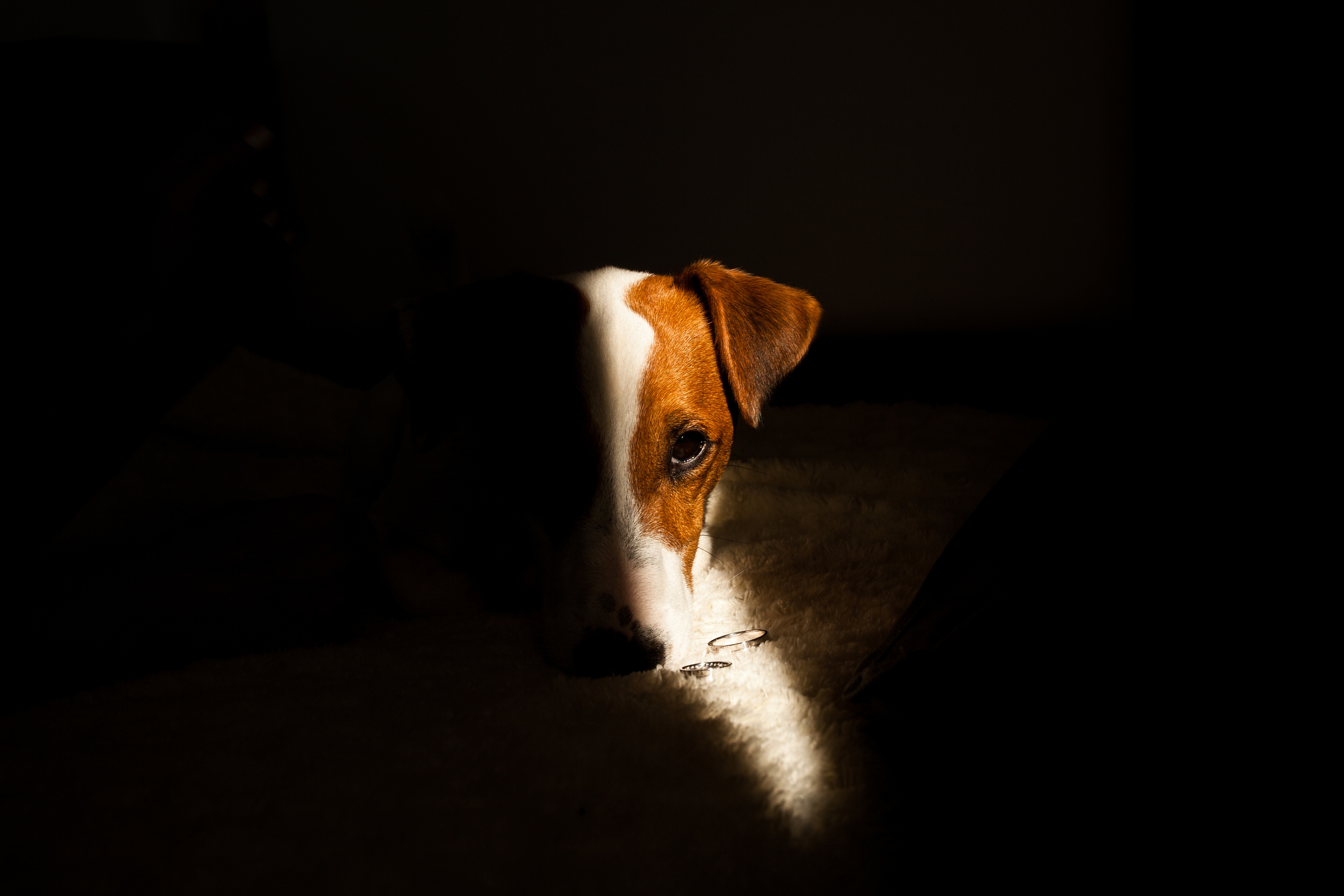 Илья и Линара. Свадебный фотограф Кирьянов Максим. Фотографирую в Москве, Коломне, Со