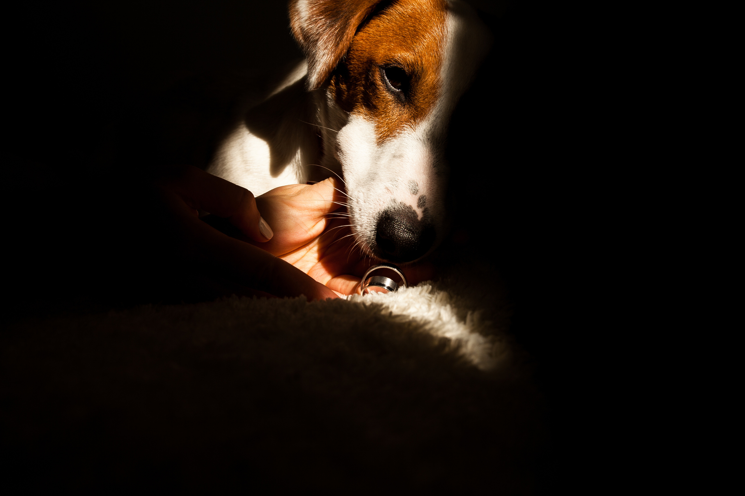 Илья и Линара. Свадебный фотограф Кирьянов Максим. Фотографирую в Москве, Коломне, Со