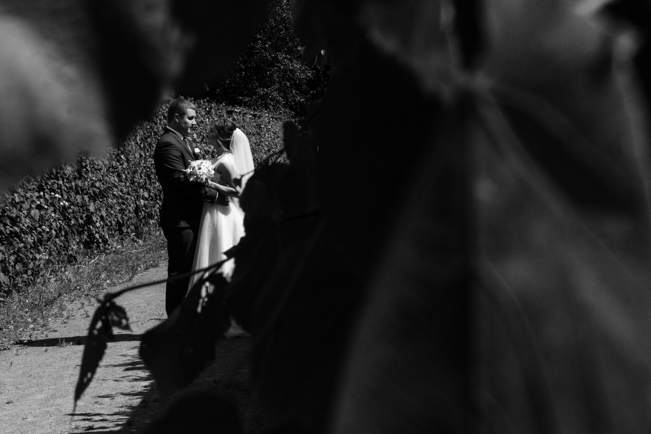 Максим и Светлана. Свадебный фотограф Кирьянов Максим. Фотографирую в Москве, Коломне, Со