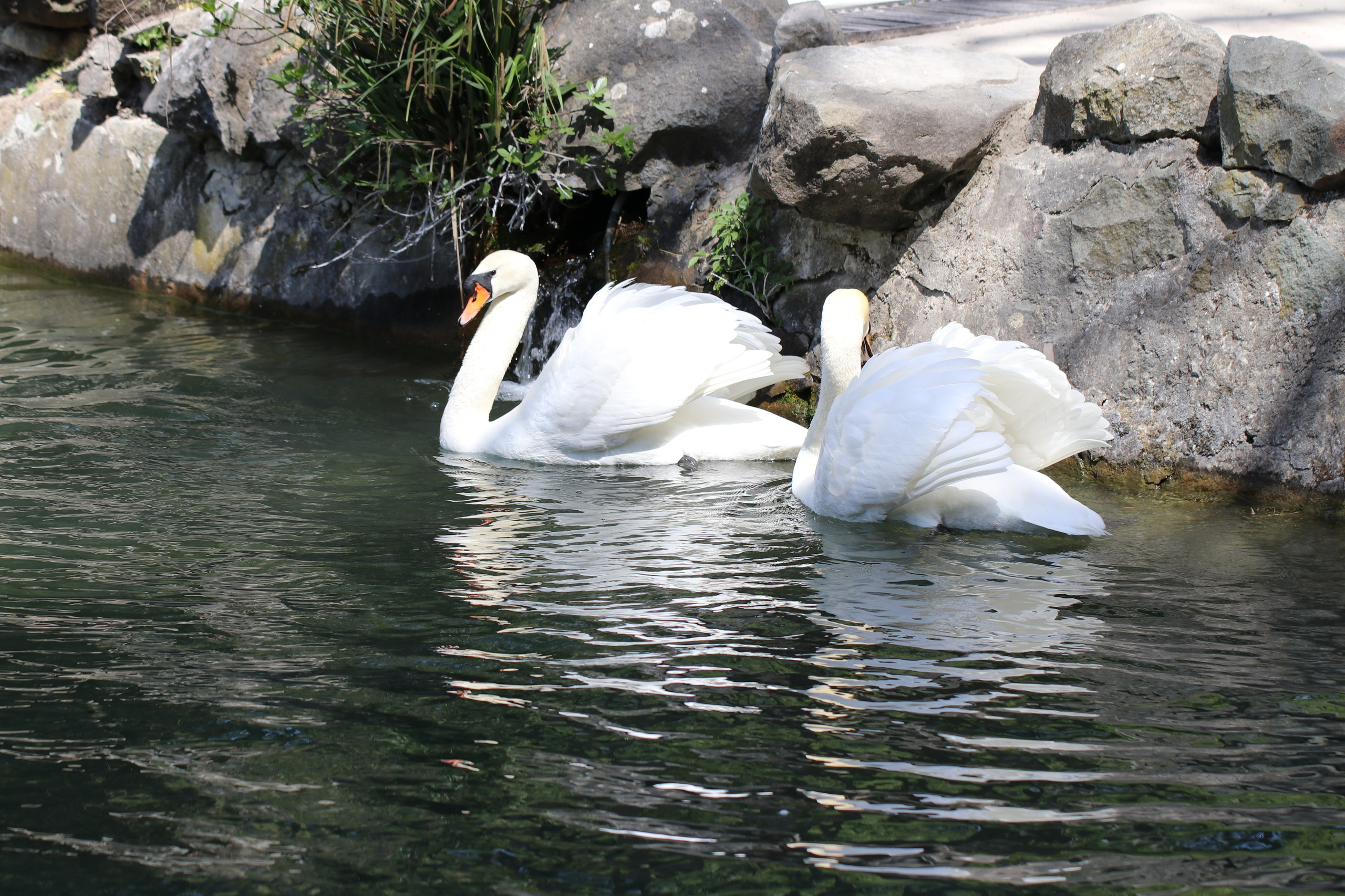 Крым. ЮБК (Бахчисарай, Кастрополь, Таракташская тропа). Май 2021. Путешественник-фотограф из Санкт-Петербурга Татьяна Свистулина