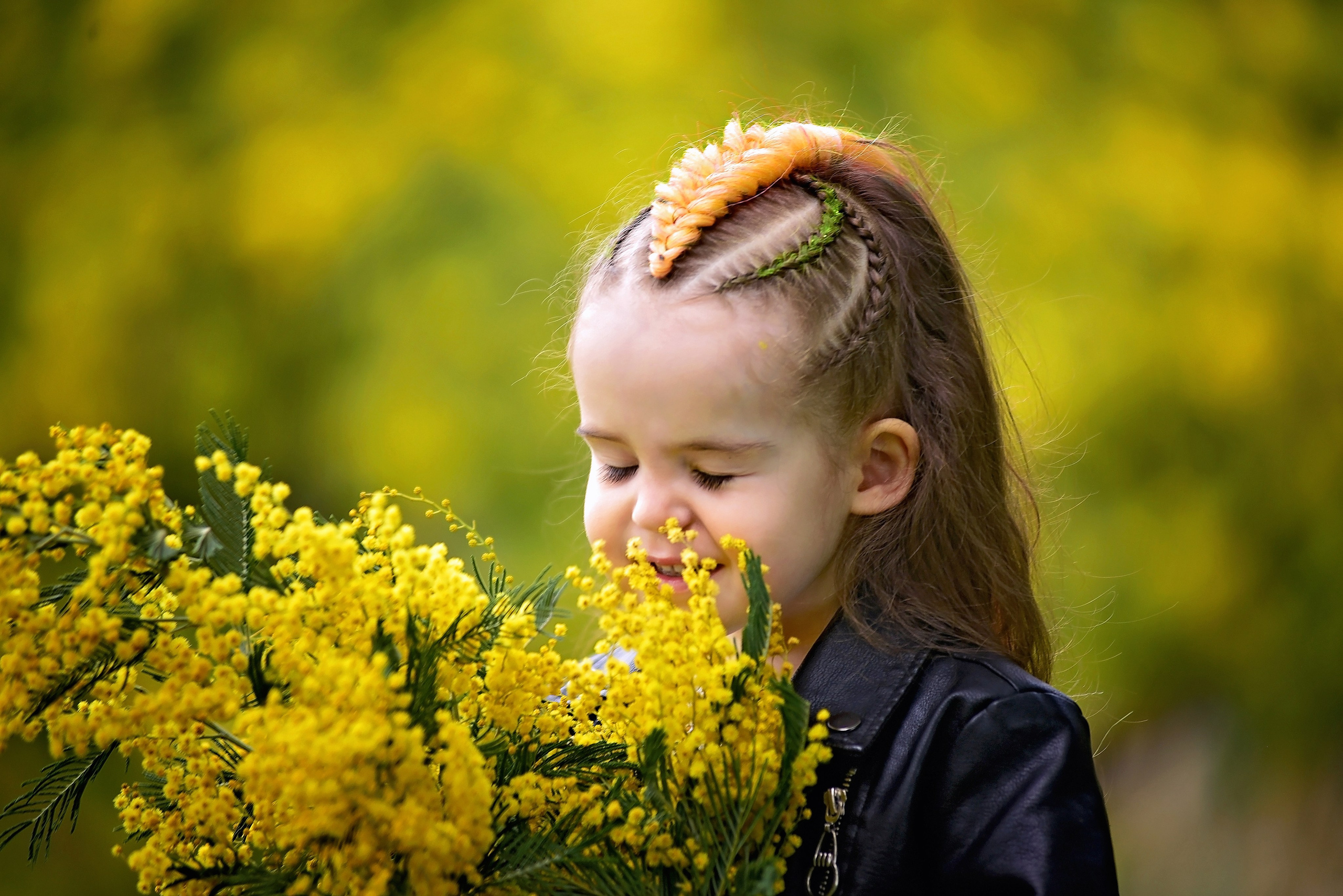 Мимоза. Главная