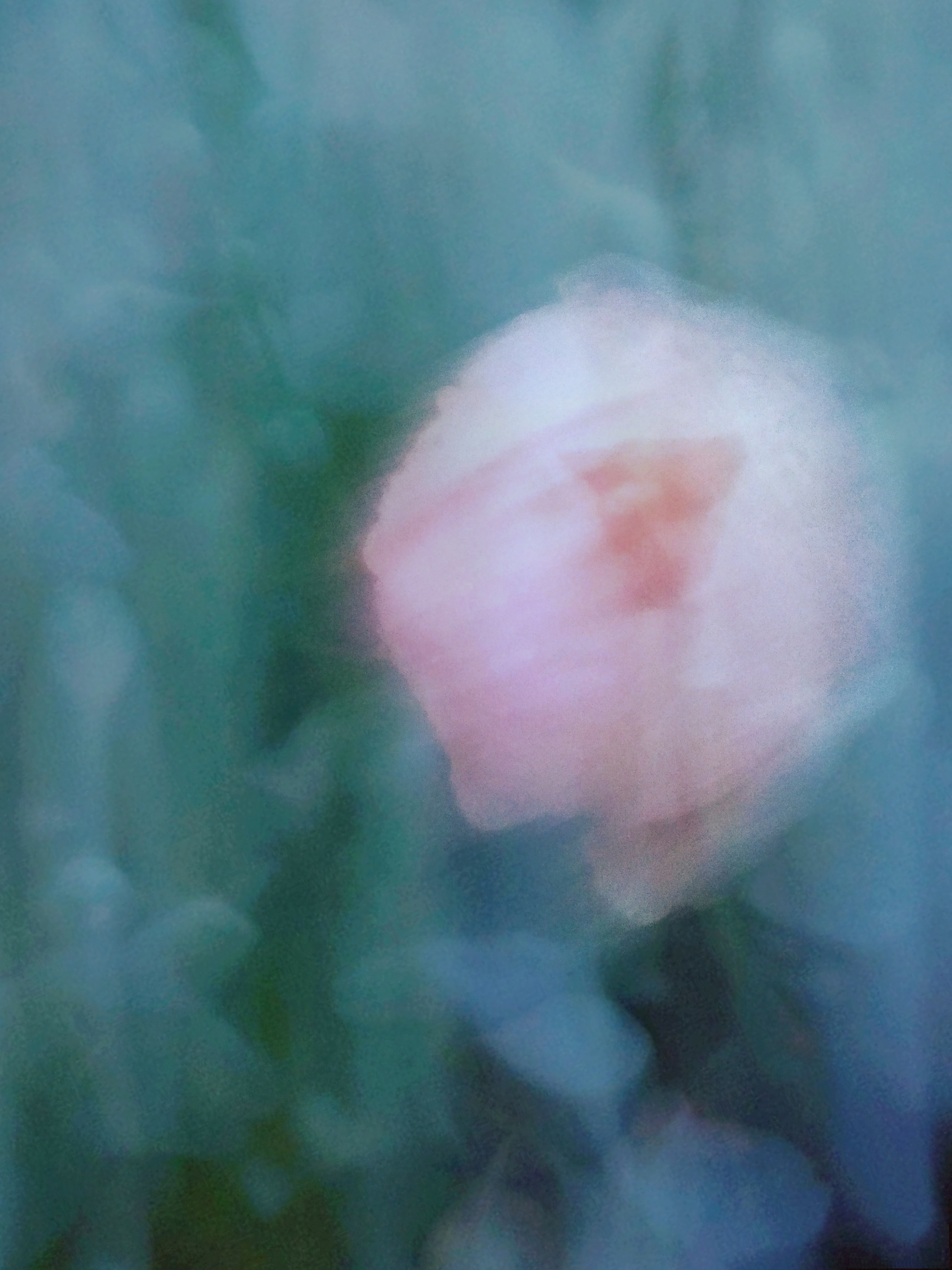 Природа. Настасья Проценко. Фотограф