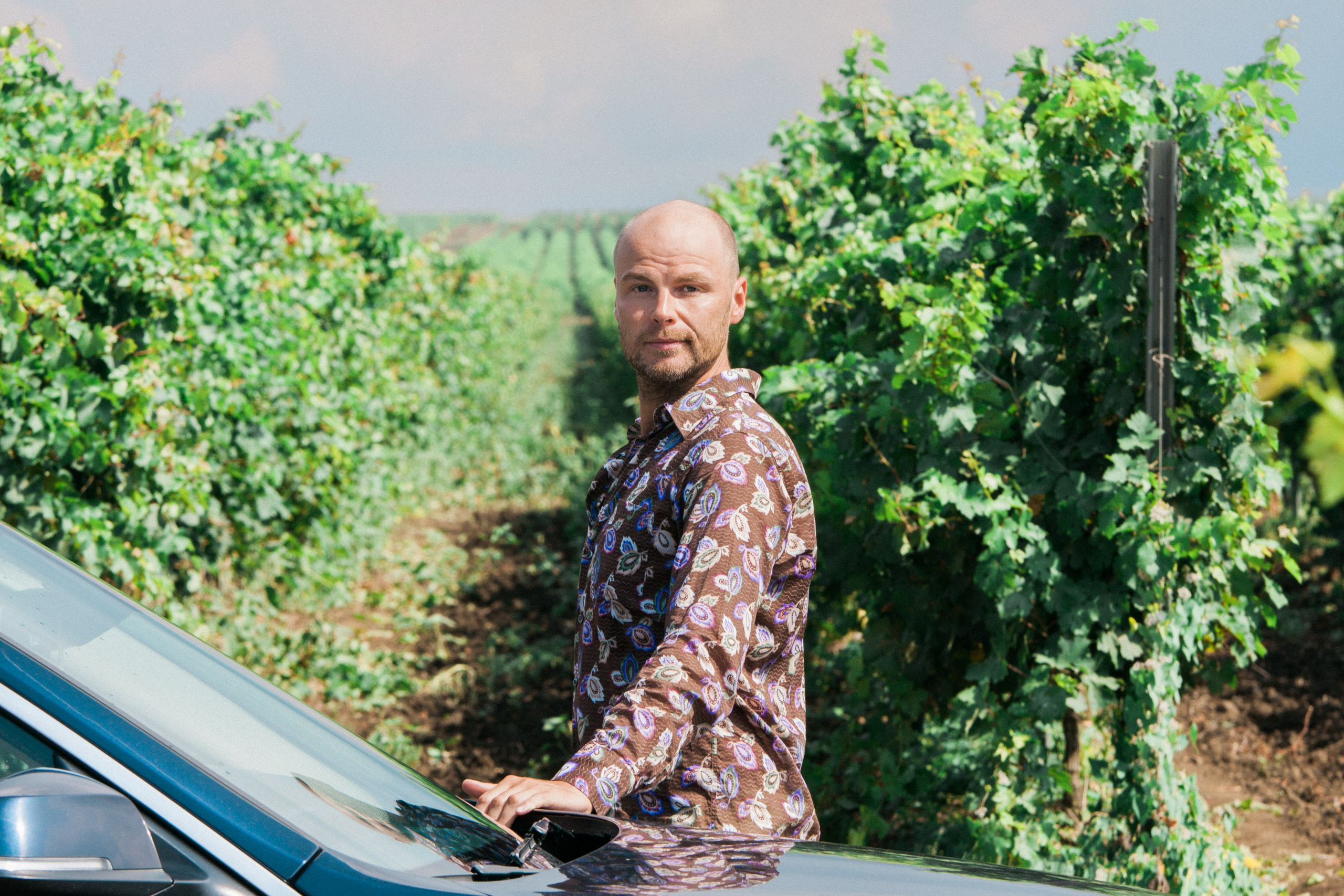 Kuban vineyards. Дария Галямова — фотограф: открытый, творческий, коммерческий