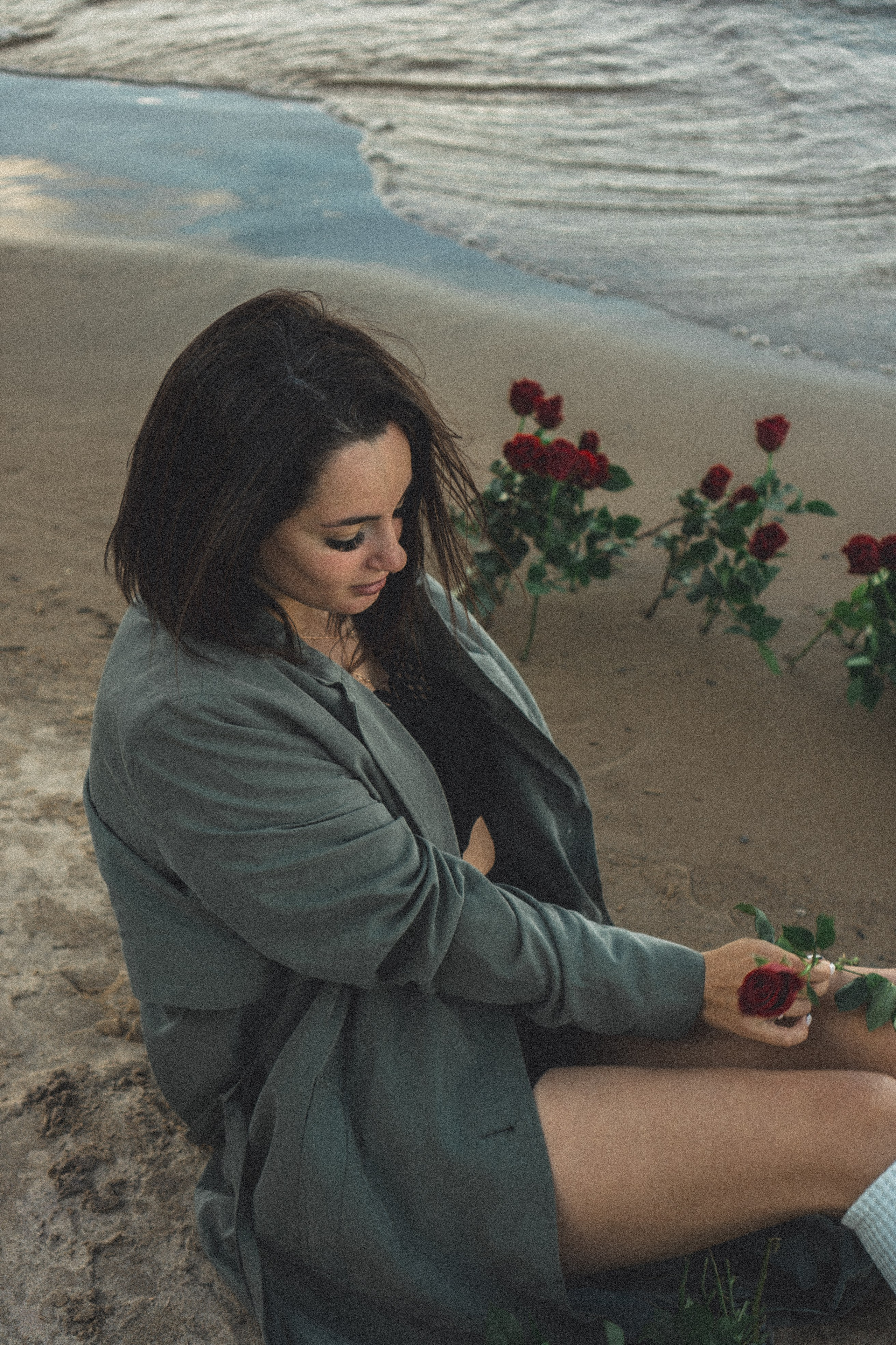 Розы. Профессиональный фотограф, Санкт-Петербург — Виктория Богомолова