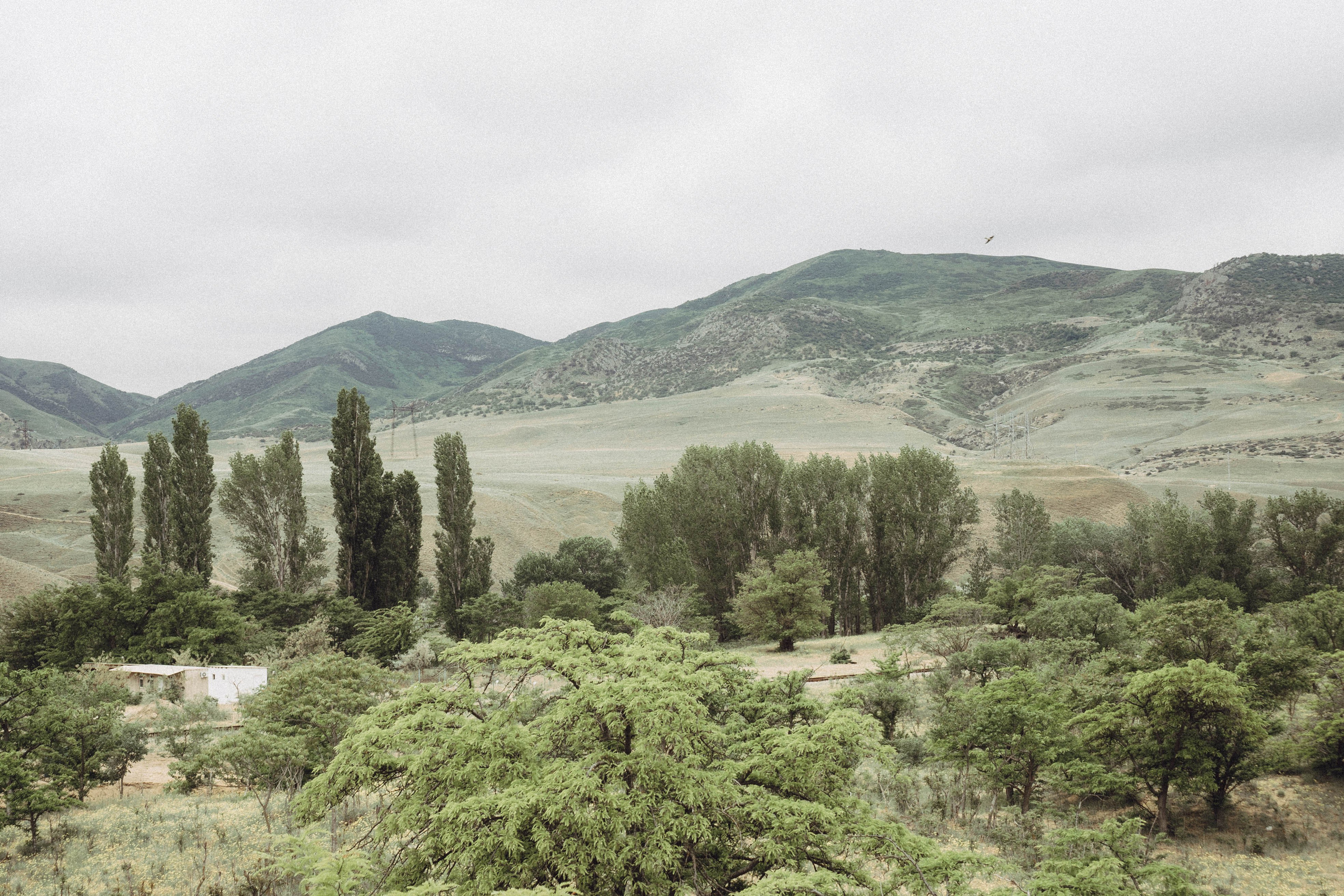 Кавказ. Профессиональный фотограф, Санкт-Петербург — Виктория Богомолова