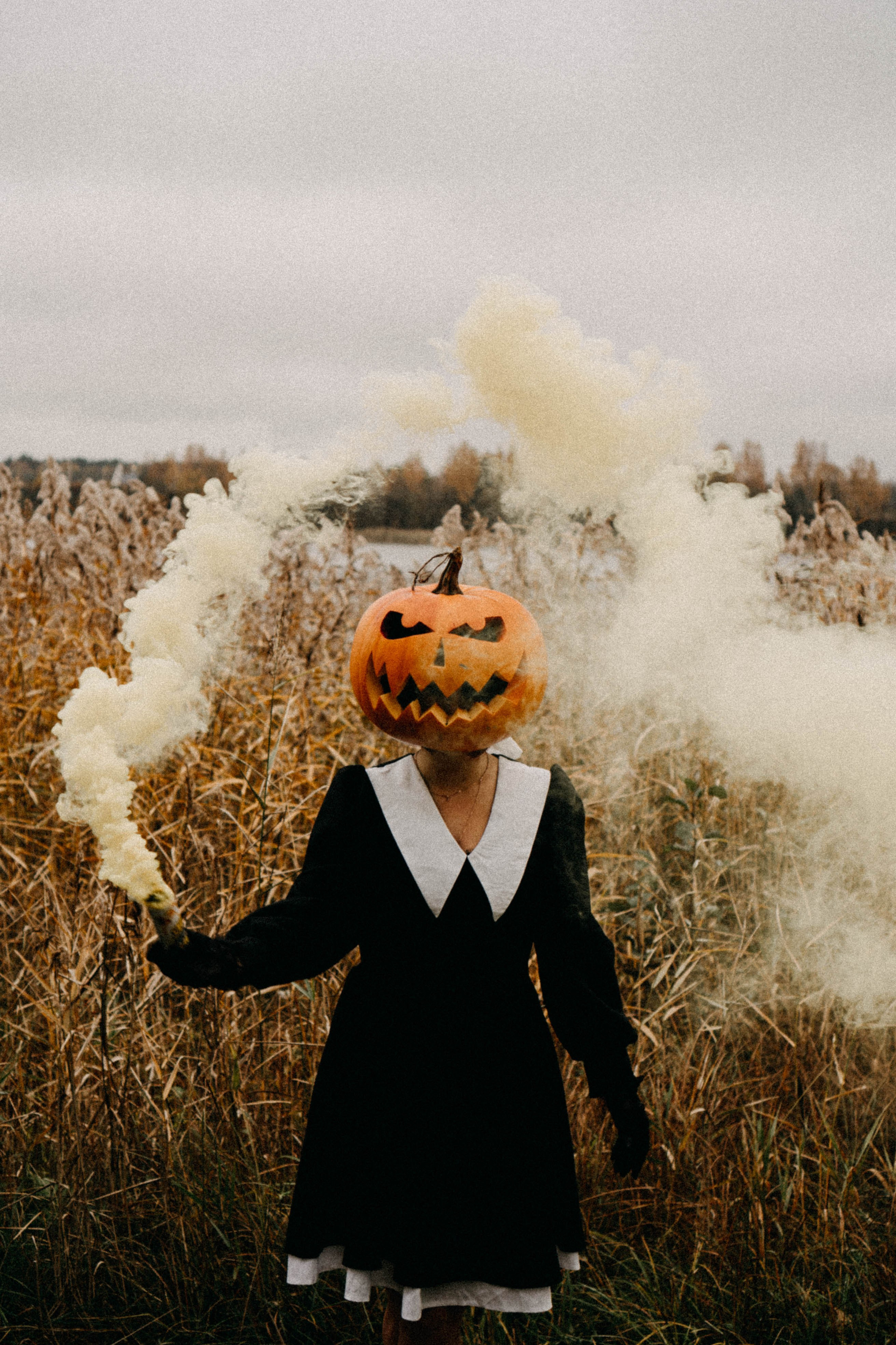 Осеняя. Профессиональный фотограф, Санкт-Петербург — Виктория Богомолова