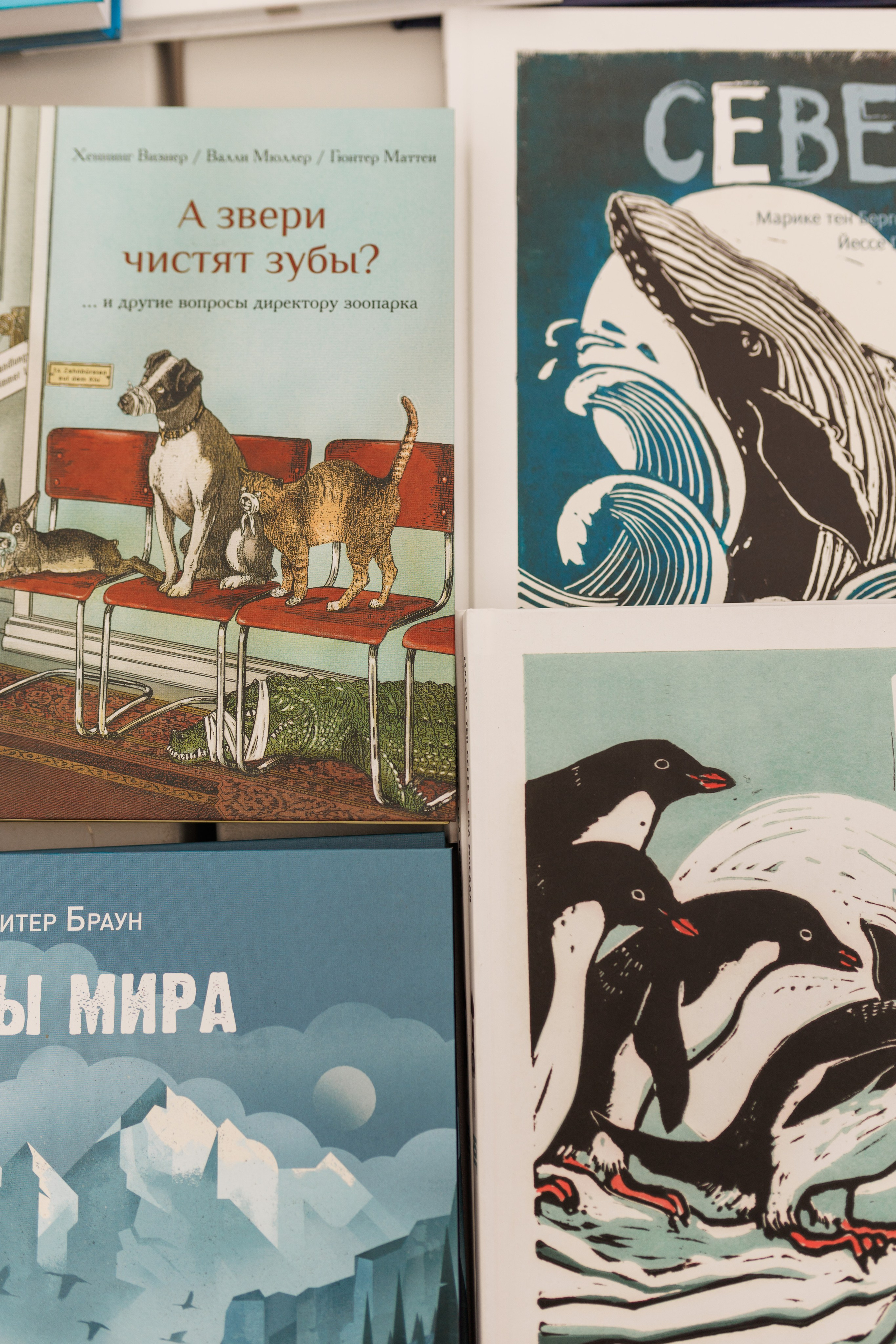 Книжный фестиваль «Смены» в Выксе 2025. Фотограф городских и семейных событий Артем Карпухин