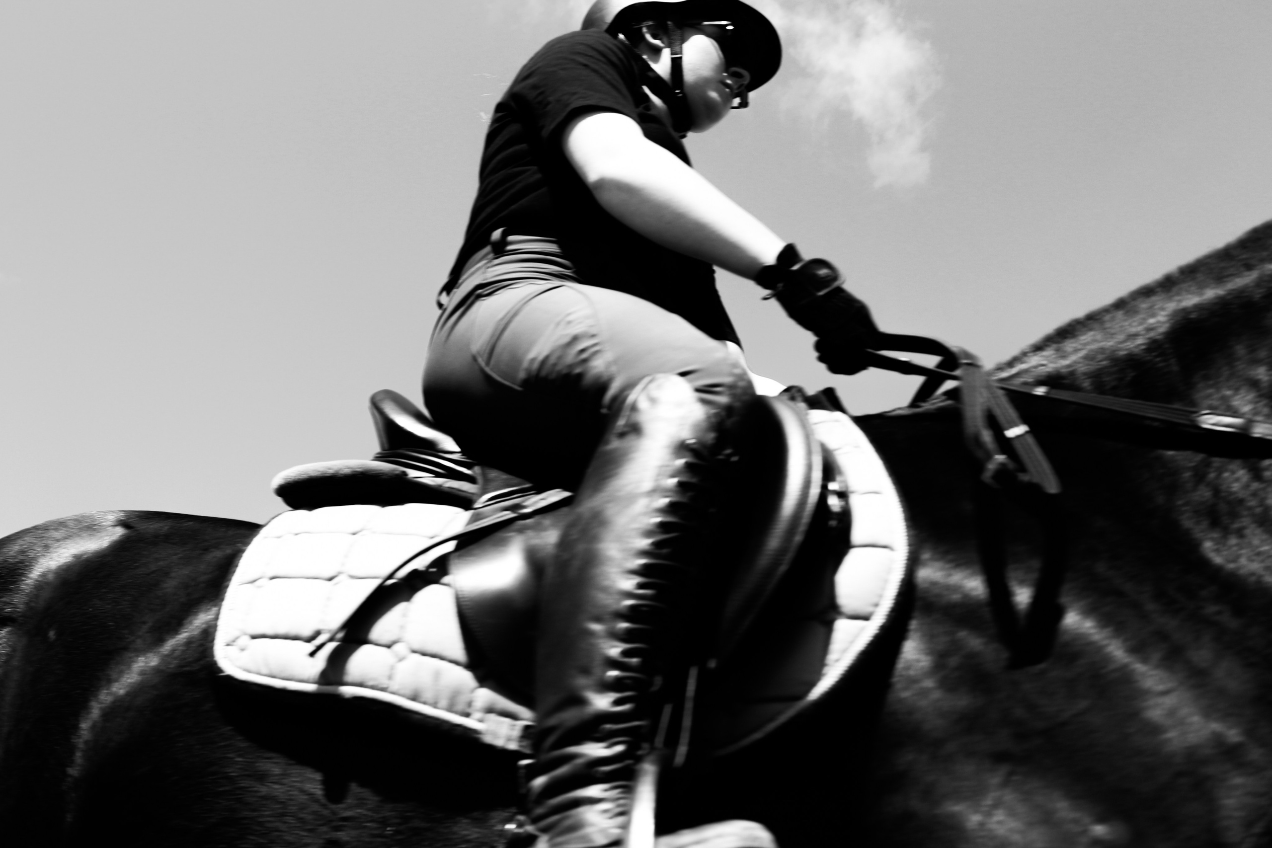 Лошади «Каскад» и «Брилиант». Алиса Томшина — Фотограф / Видеограф