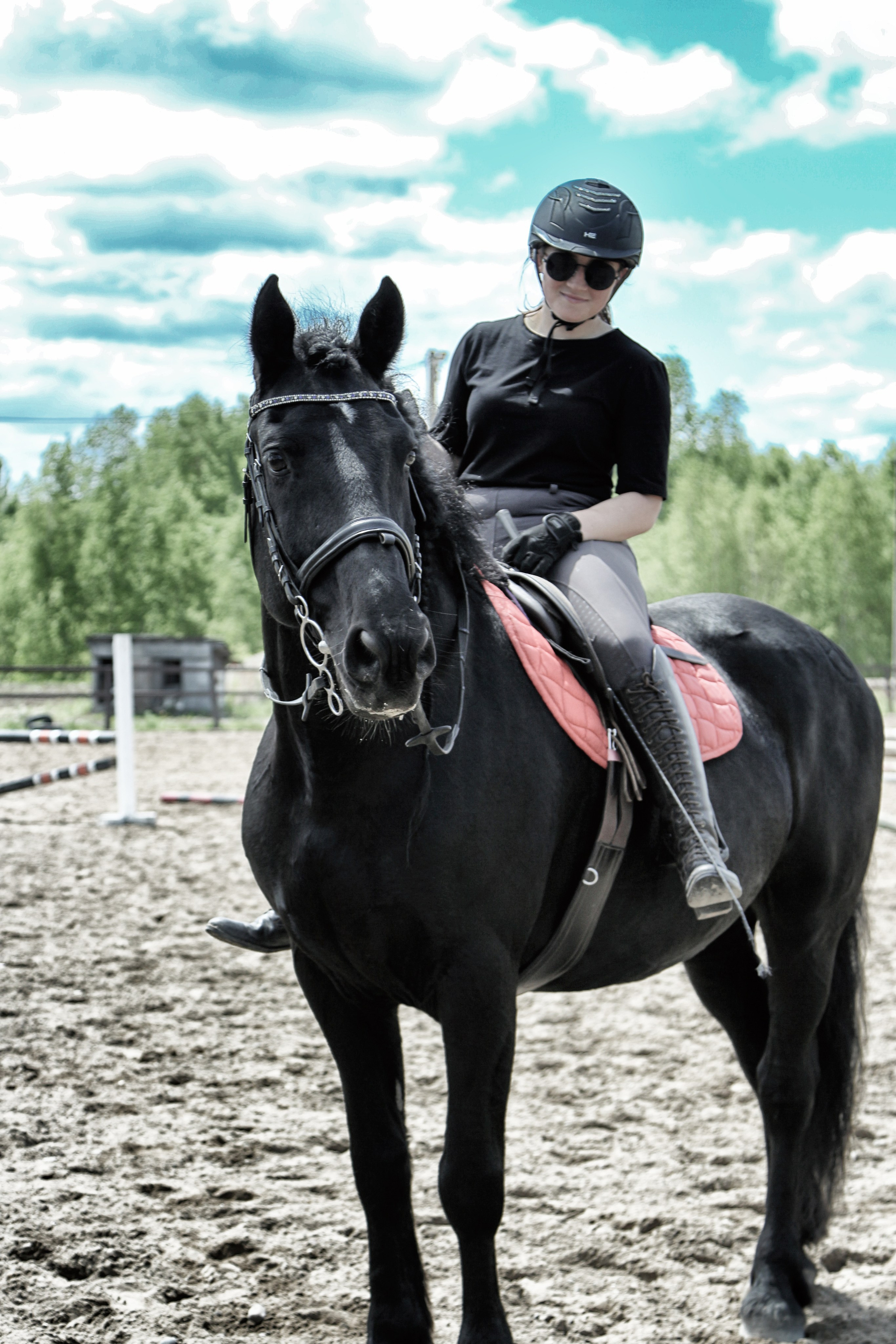 Лошади «Каскад» и «Брилиант». Алиса Томшина — Фотограф / Видеограф