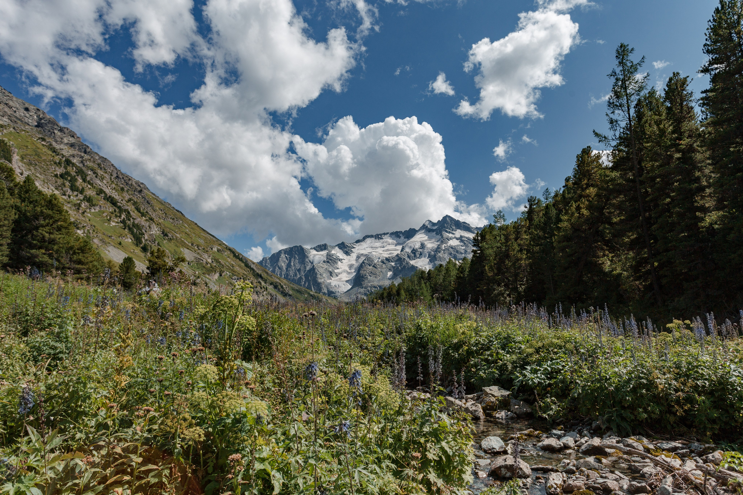 Катунский заповедник, Республика Алтай. Репортажный фотограф в Крыму Ксения Гасица