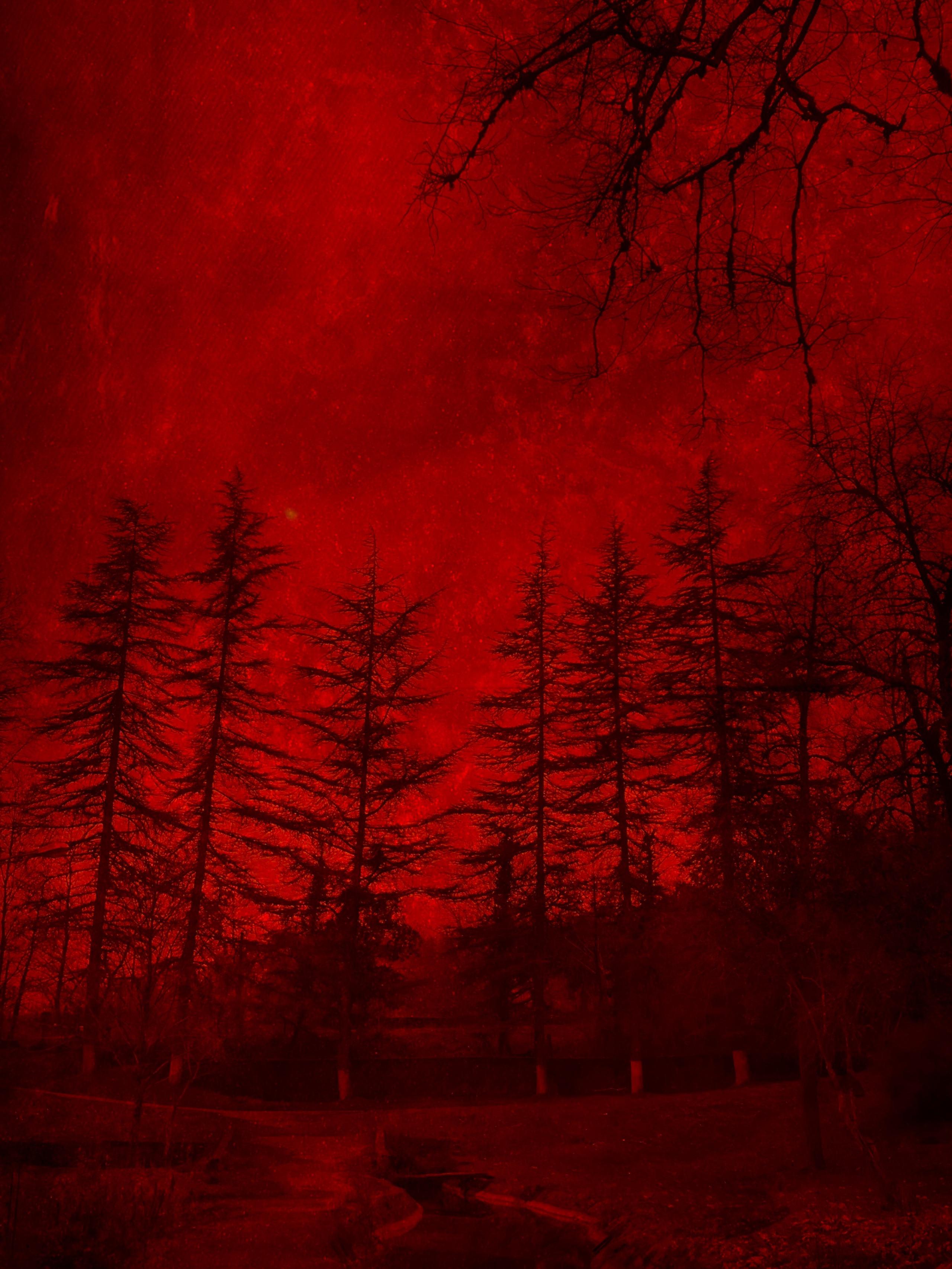 DISTURBING BEAUTY. Evgeniia Mikheeva — International visual artist