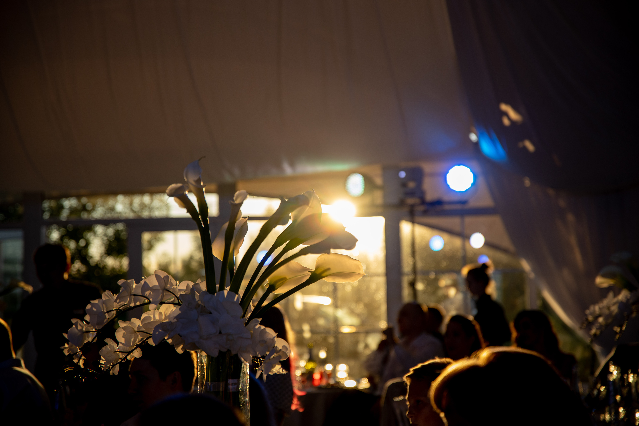 Анна и Андрей. Фотограф Дарья Норкина