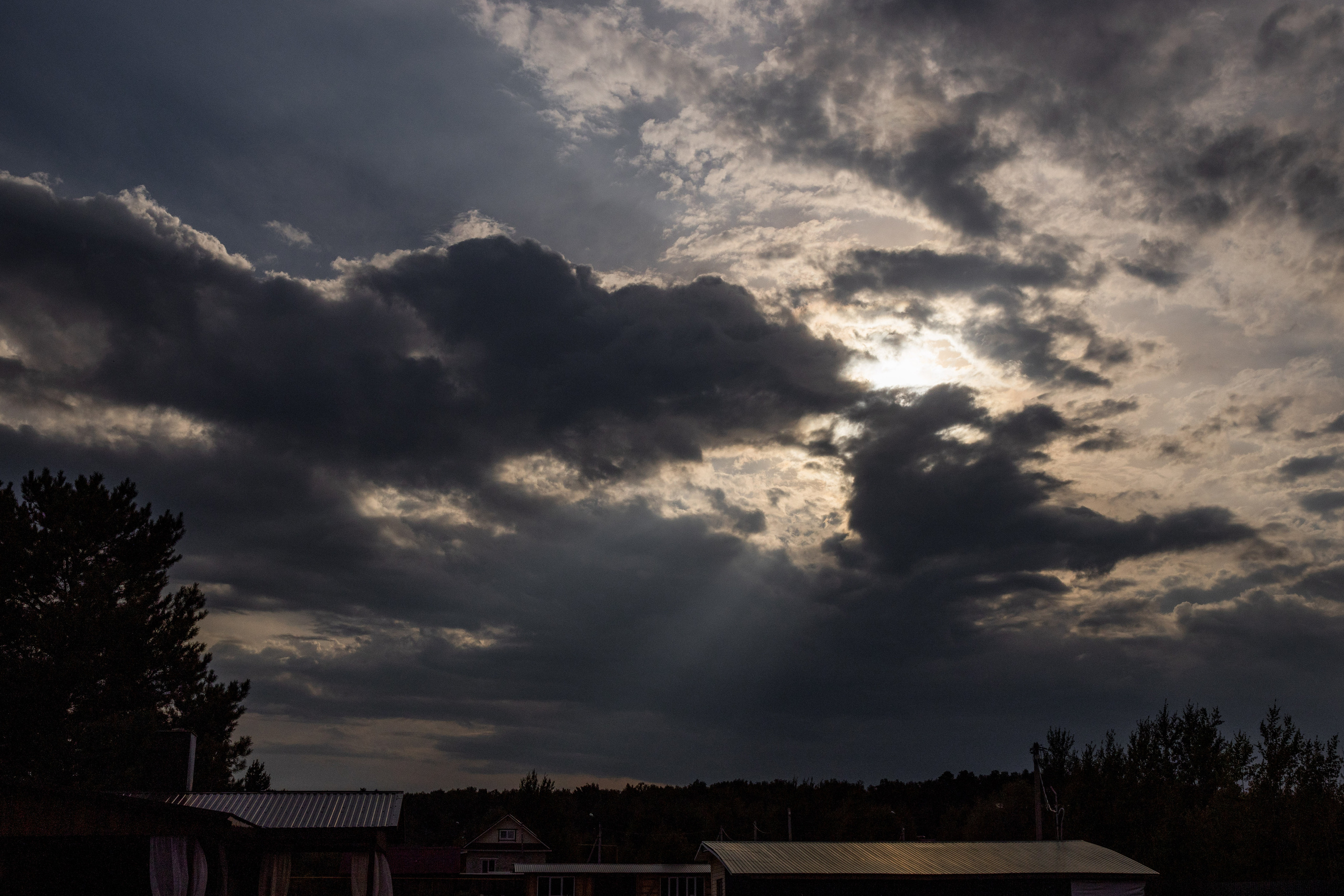 Татьяна и Александр. Фотограф Дарья Норкина