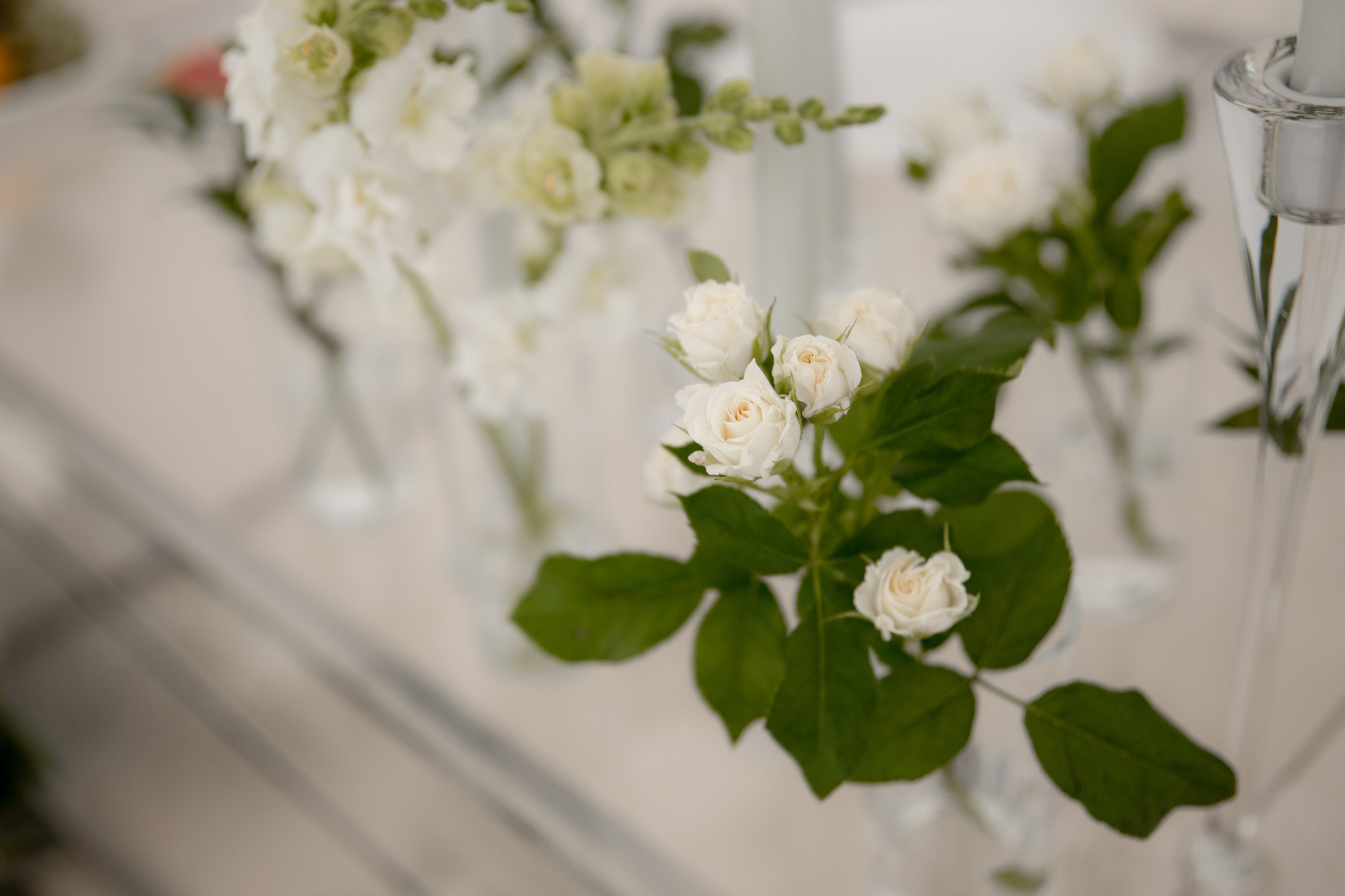 Татьяна и Александр. Фотограф Дарья Норкина