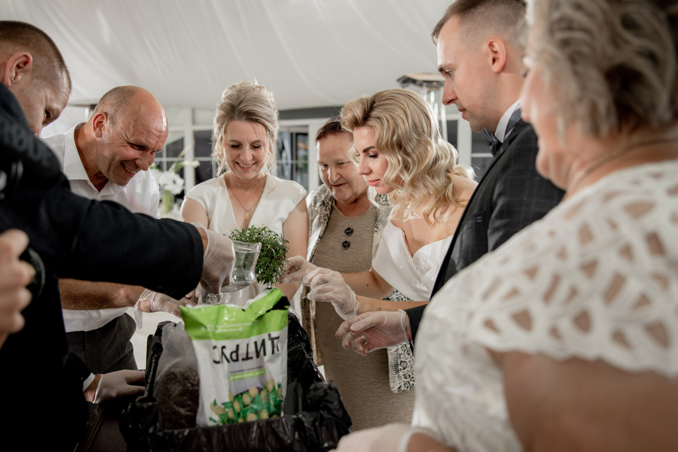 Анна и Андрей. Фотограф Дарья Норкина