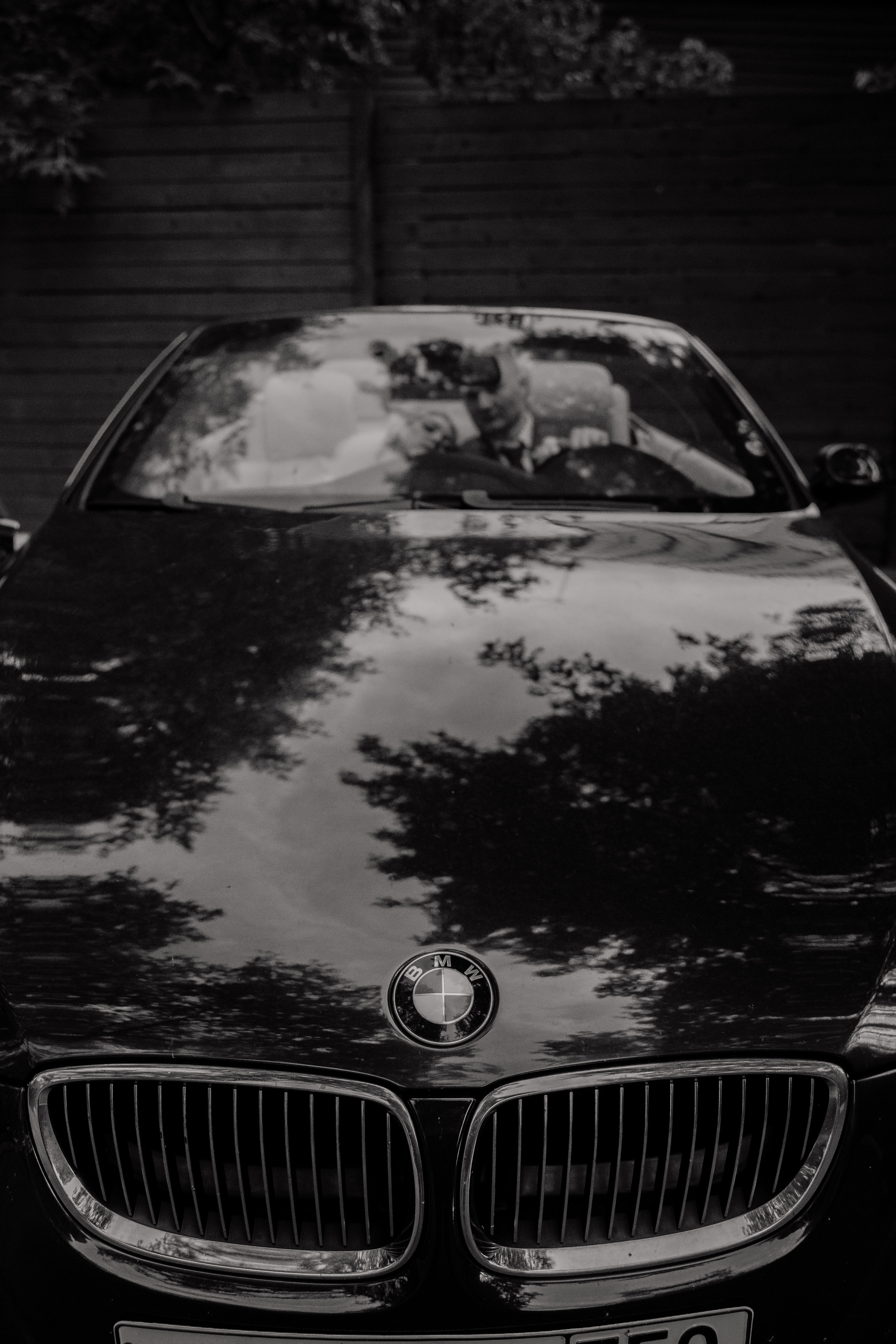 Дарья и Даня. Фотограф Дарья Норкина