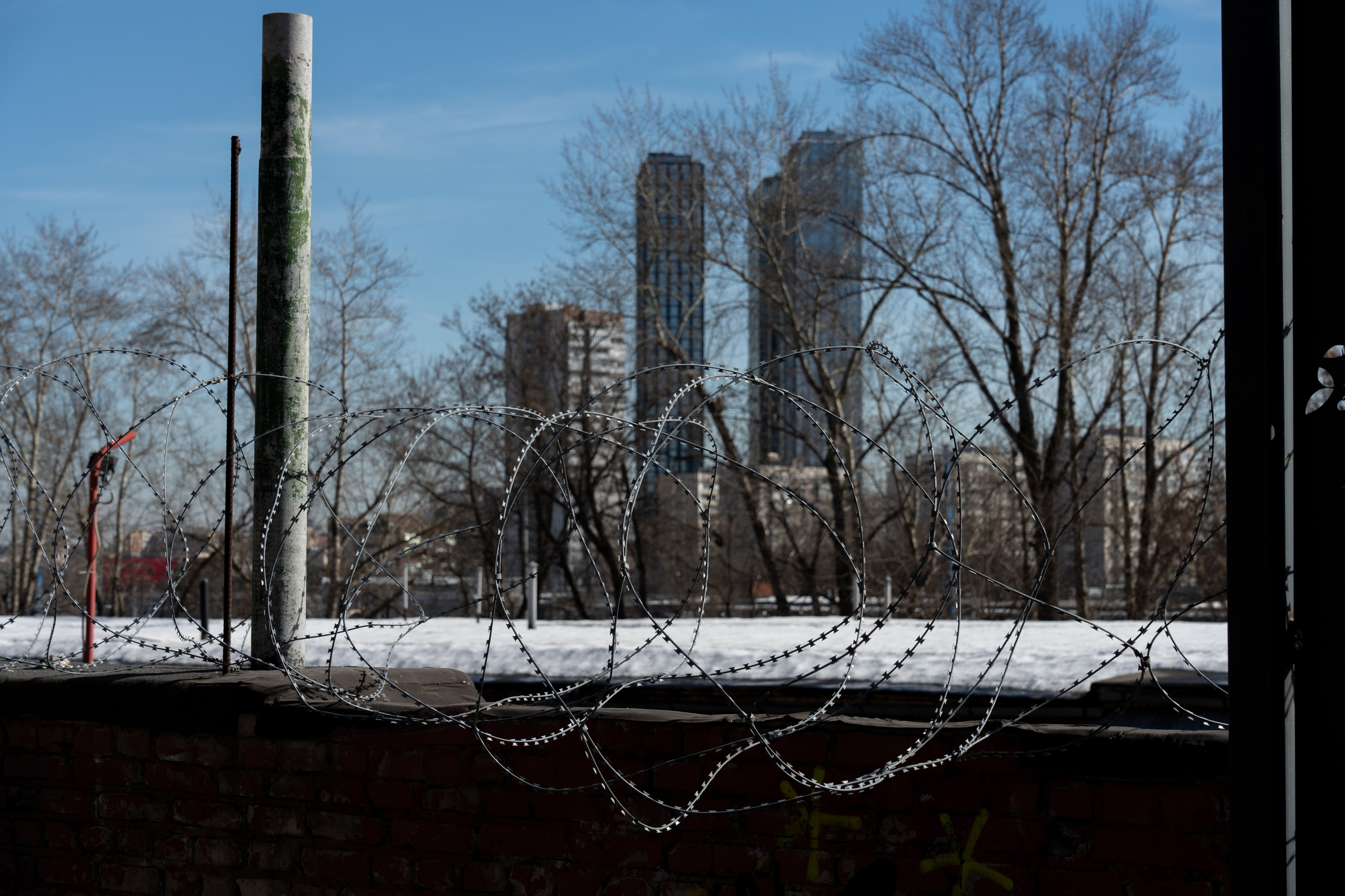 20260322 Киевская — Парк Победы. Дмитрий Ремизов. Фотография, как хобби