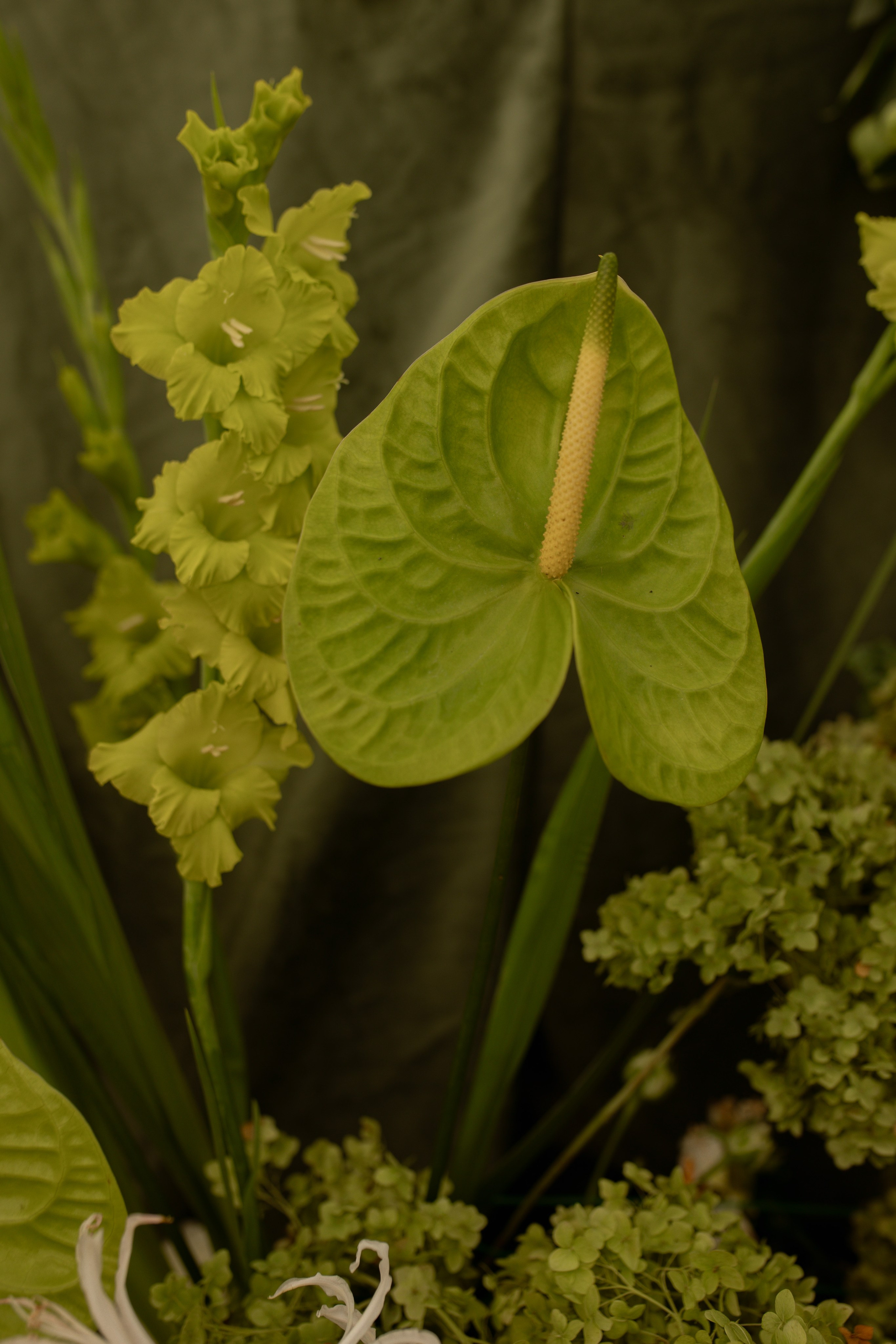 Minimalistic & Green: свадьба за городом. Свадебный фотограф Елена Рубцова