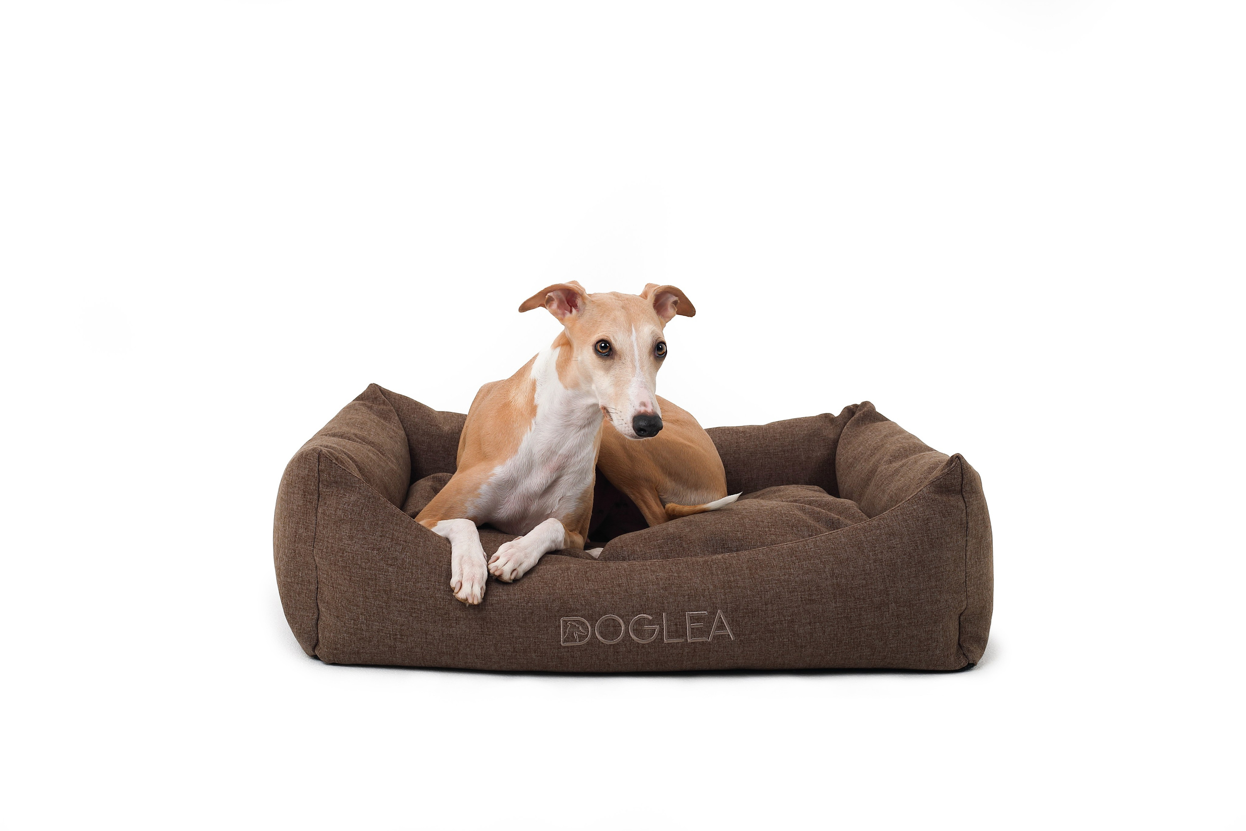 Для брендов. Фотограф- анималист Санкт-Петербург