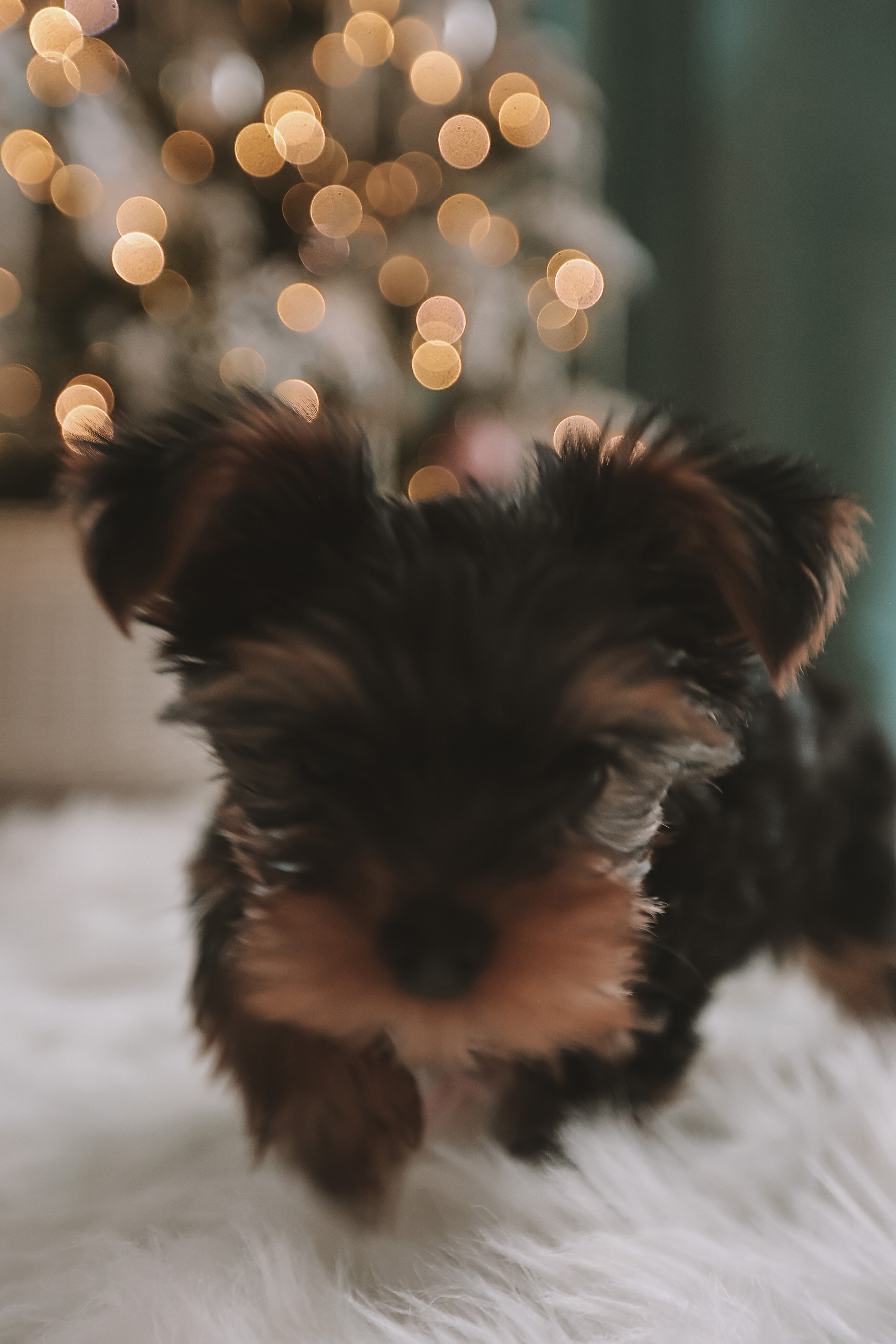 Домашняя. Семейный фотограф Тюмень, фотограф на роды Салмина Мария
