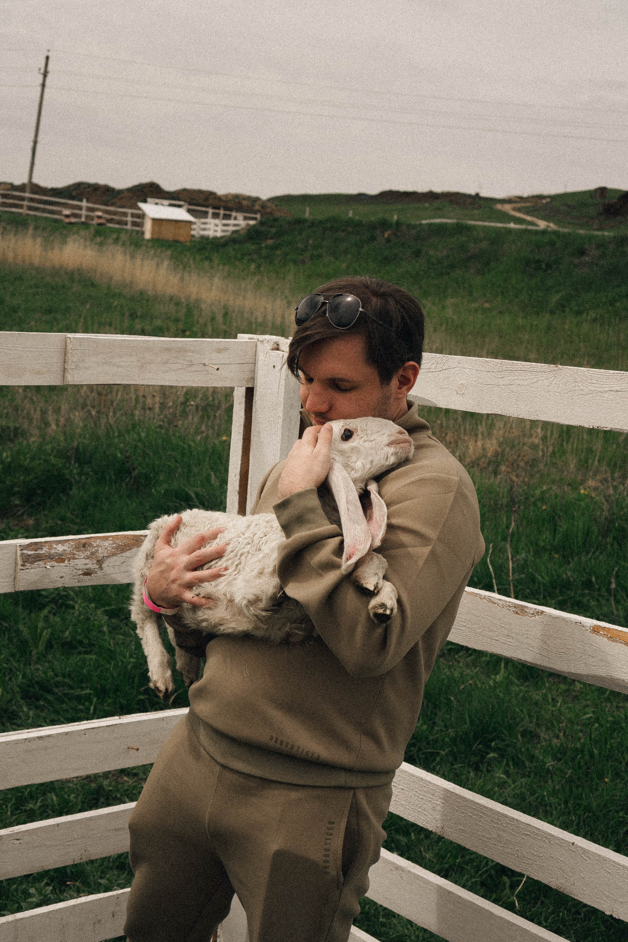 Ферма Альпак. Профессиональный фотограф, Санкт-Петербург — Виктория Богомолова