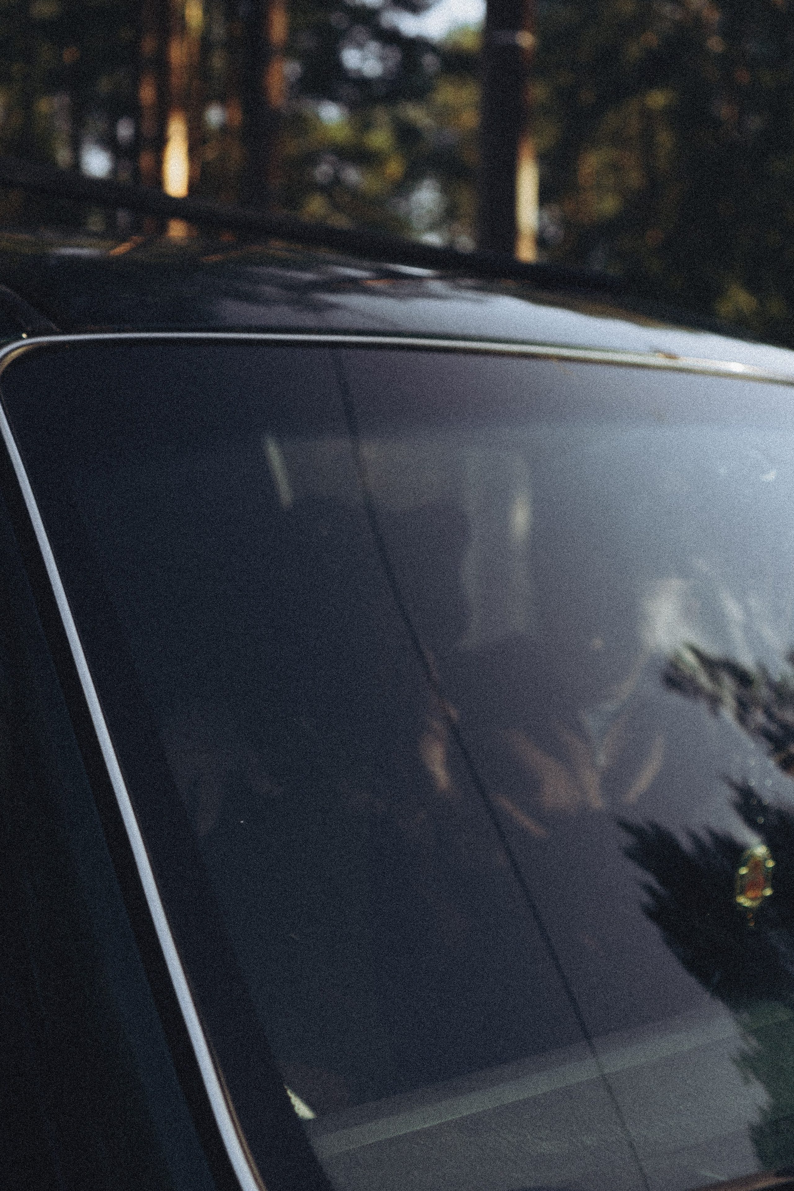 Прогулка по Финскому заливу. Профессиональный фотограф, Санкт-Петербург — Виктория Богомолова