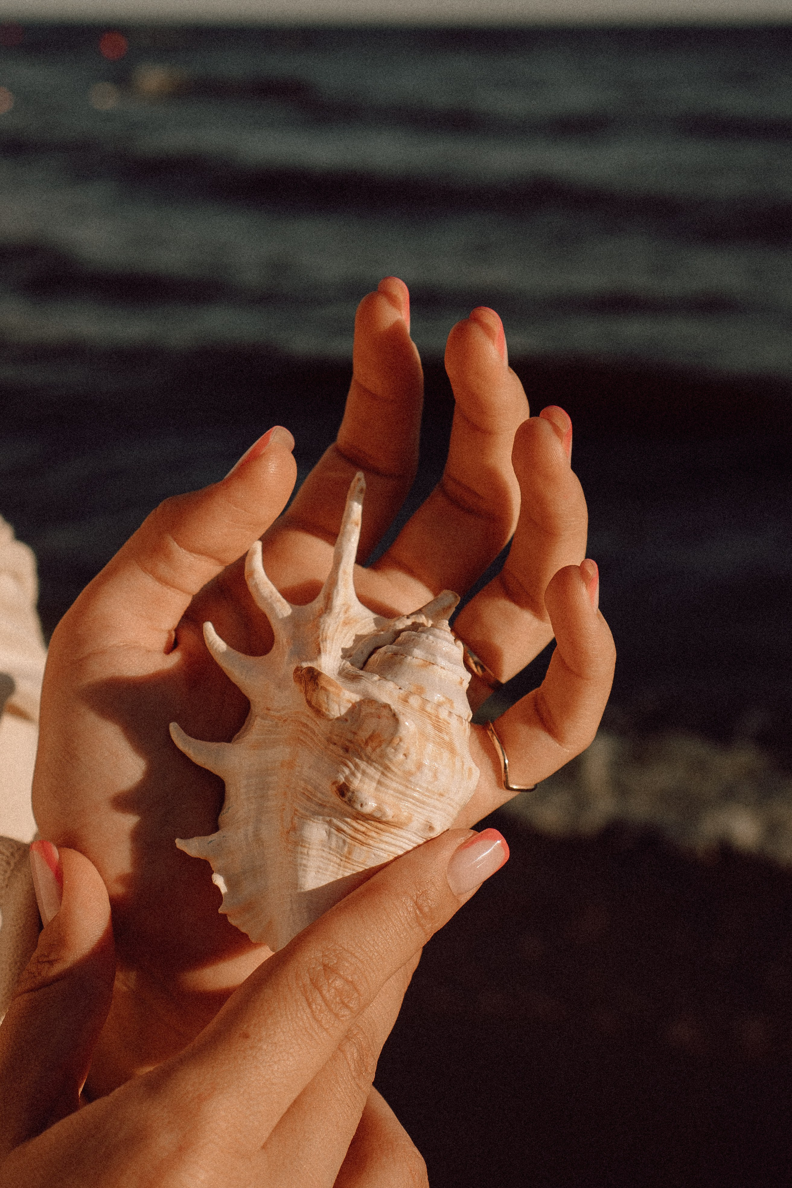 РОМАНТИКА ФИНСКОГО ЗАЛИВА. Профессиональный фотограф, Санкт-Петербург — Виктория Богомолова